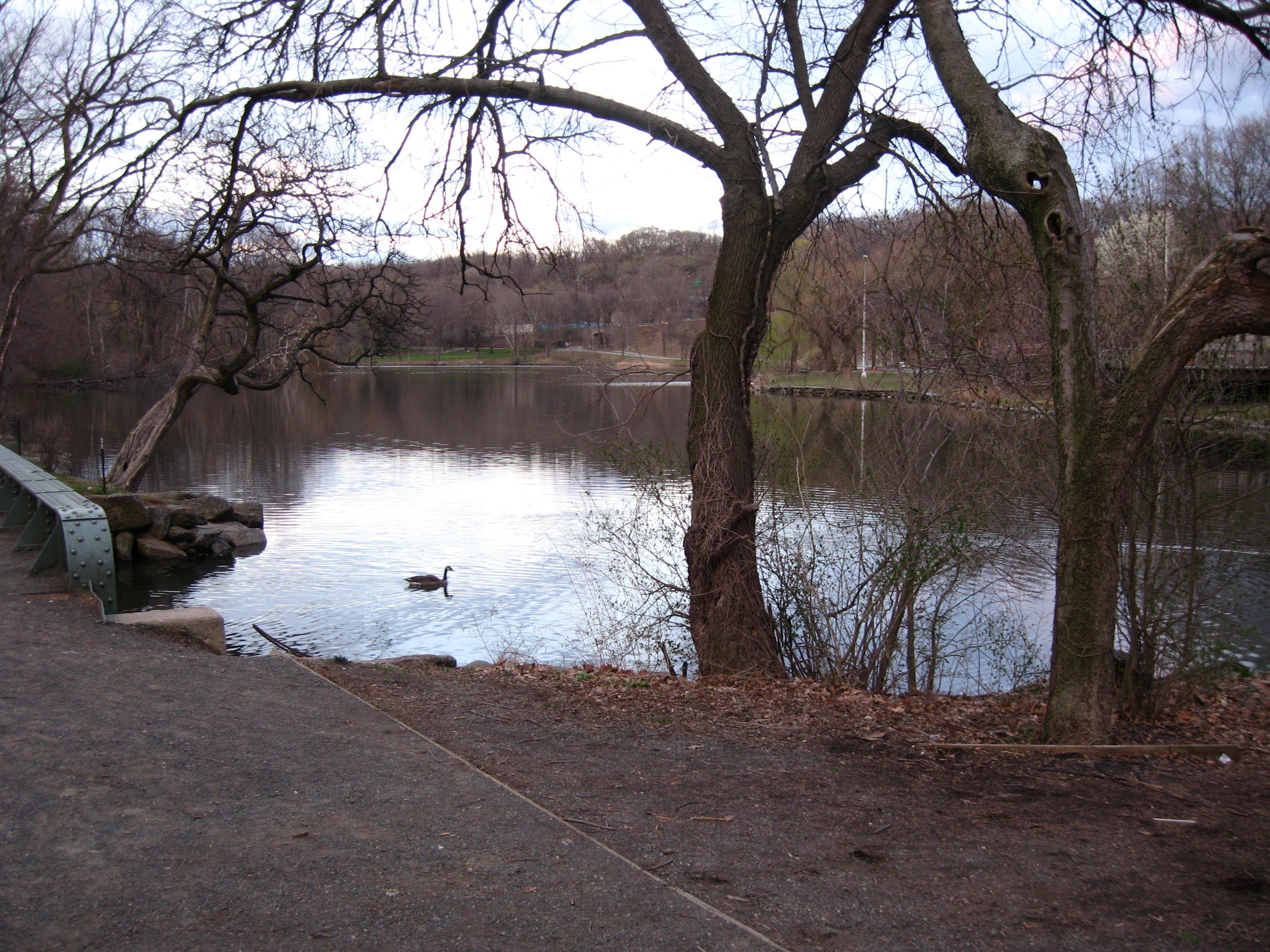 Looking northeast from Old Put bikeway along the lake towards VCP golf club at the end of a cloudy day in early springtime.