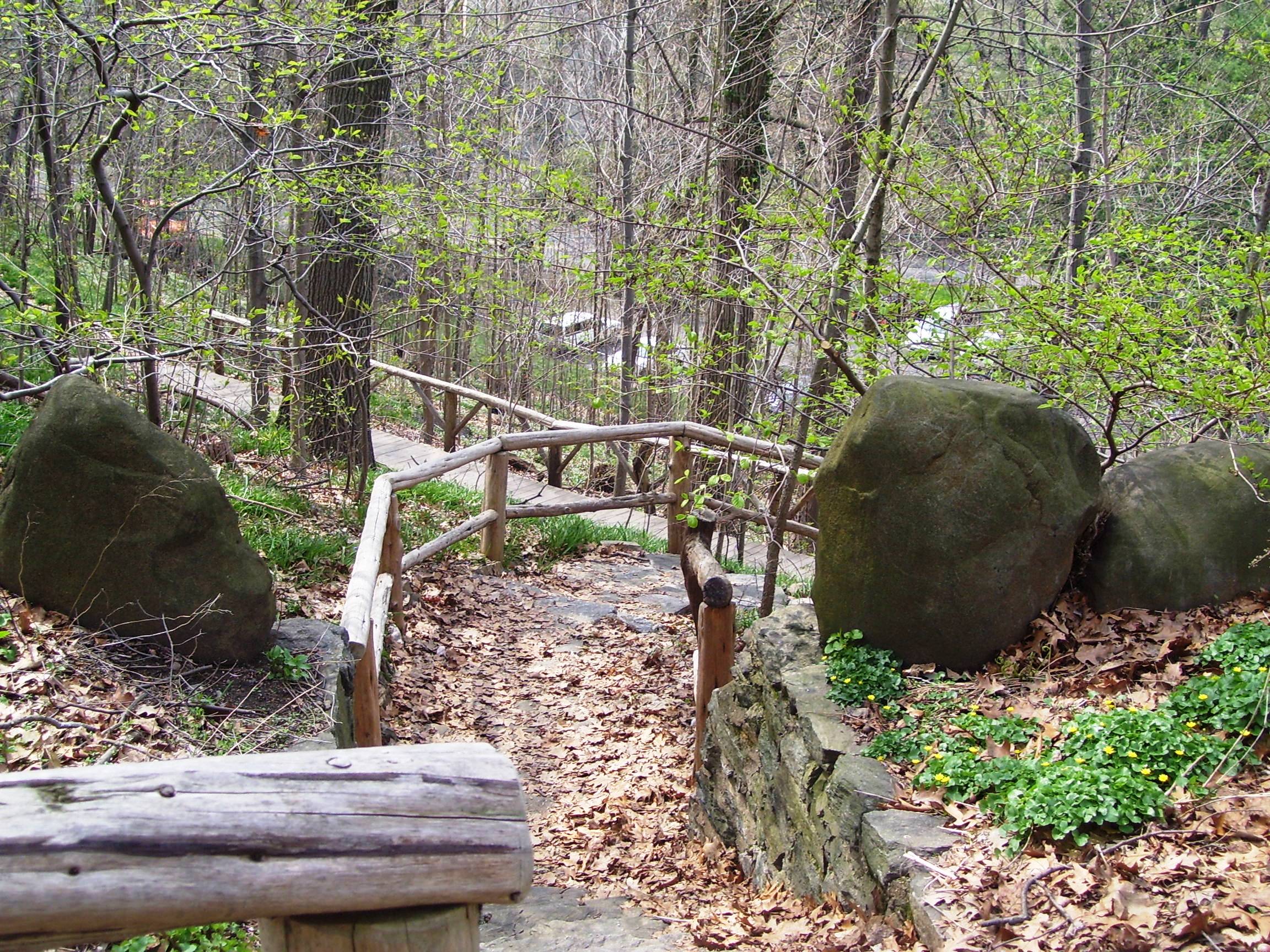 Part of the woodland path at Wave Hill in the Bronx, New York City