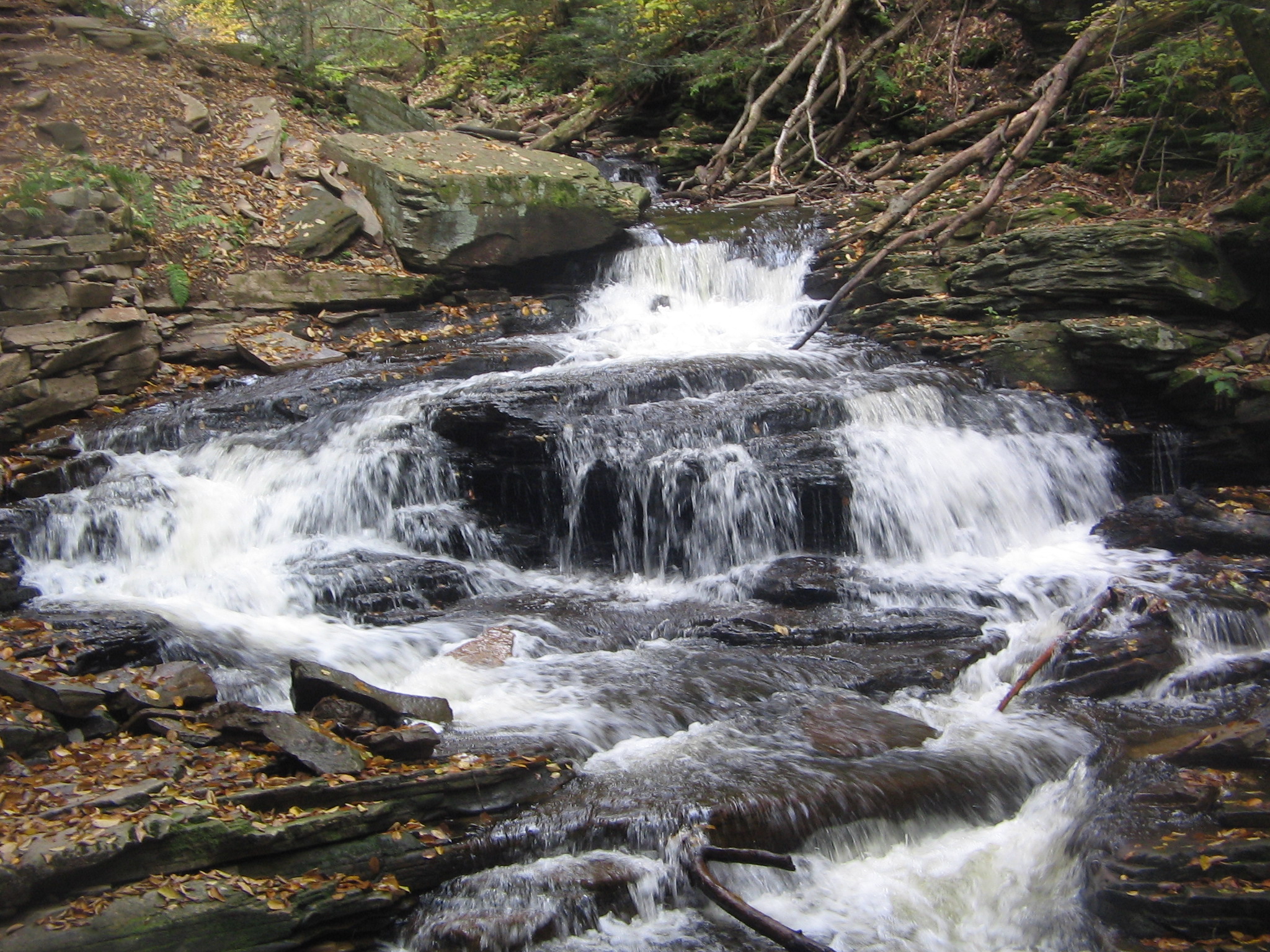 Seneca Falls (12 feet (3.7 m) tall) on Kitchen Creek in Ricketts Glen State Park, Fairmount Township, Luzerne County, Pennsylvania, USA. It is the sixth of ten named waterfalls in Ganoga Glen on Kitchen Creek, going upstream from Waters Meet, and one of twenty two named waterfalls in the park, according to the Pennsylvania Department of Conservation and Natural Resources.