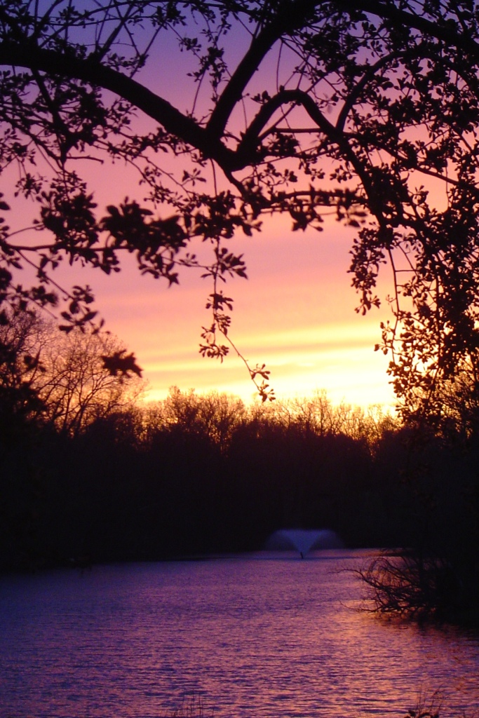 View of Buckingham Lake, Albany New York.  Photo is my own.