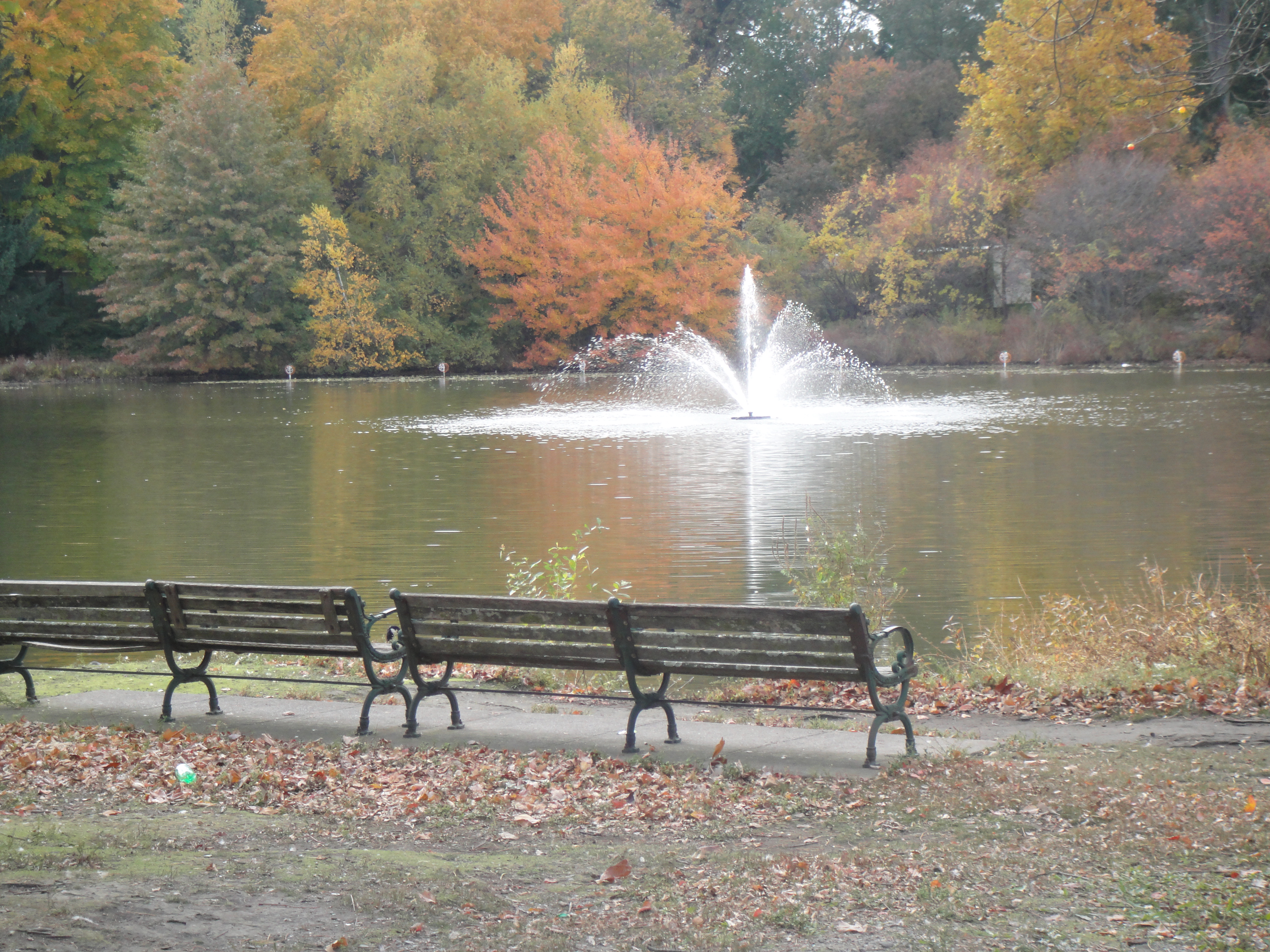 Roger Williams Park in Providence, RI