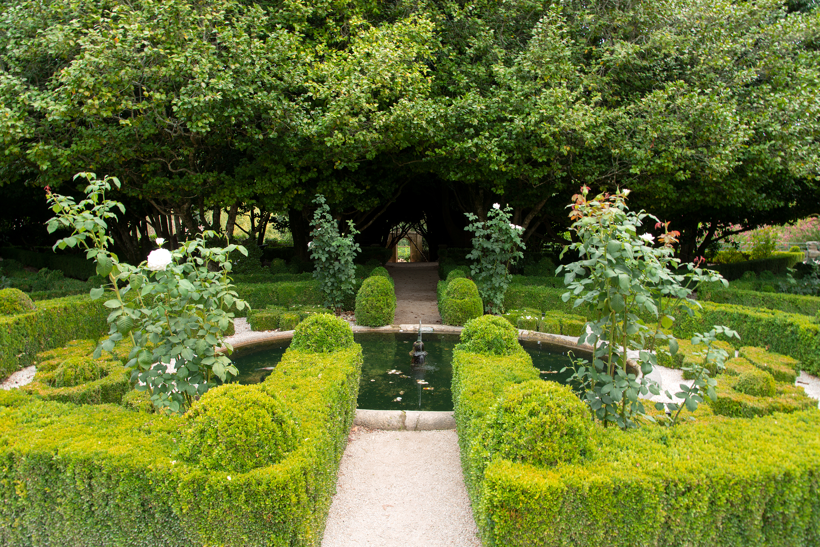 A section of garden at Casa de Mateus (Mateus Palace), Portugal