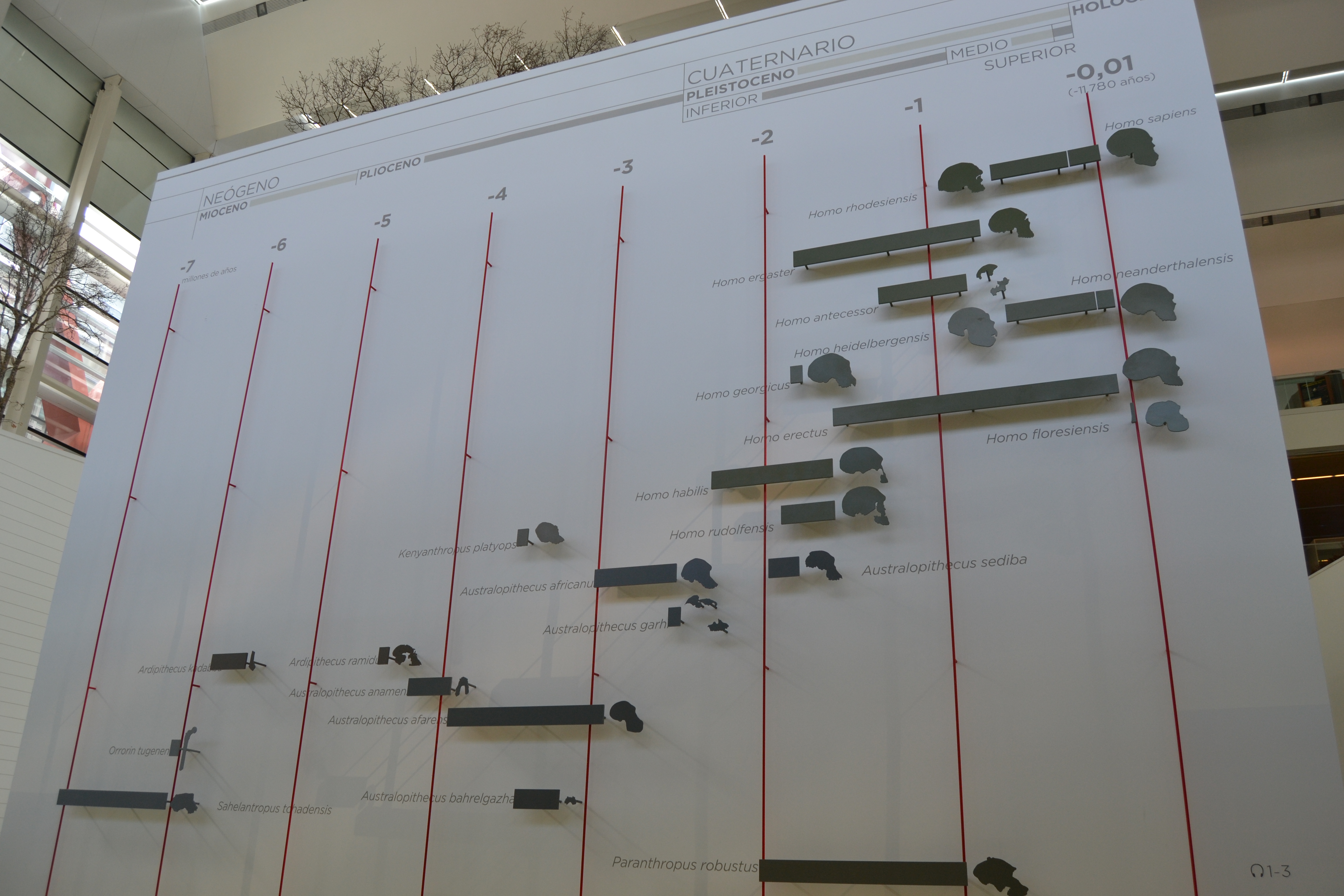 Museum of Human Evolution, Burgos, Spain