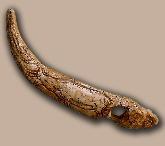Perforated branch of deer stag with deer representation of the Upper Magdalenian level of the Cave del Castillo (Puente Viesgo, Cantabria, Spain).