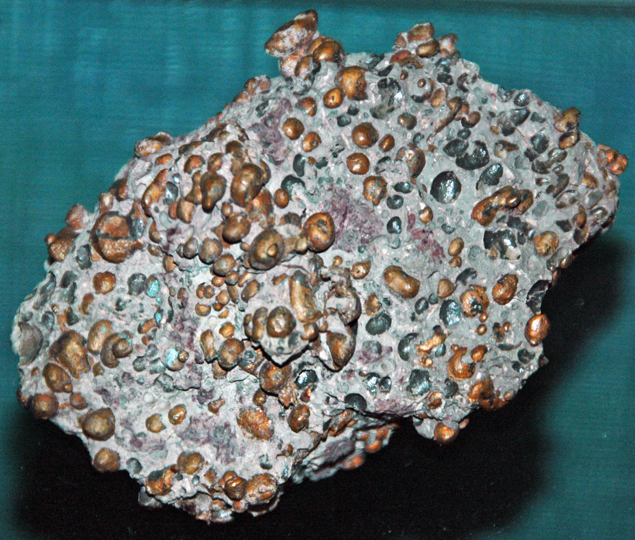 Cupriferous amygdaloidal basalt ("shot copper") from the Precambrian of Michigan, USA. (public display, Seaman Mineral Museum, Michigan Technological University, Houghton, Michigan, USA)
A mineral is a naturally-occurring, solid, inorganic, crystalline substrance having a fairly definite chemical composition and having fairly definite physical properties.  At its simplest, a mineral is a naturally-occurring solid chemical.  Currently, there are over 4900 named and described minerals - about 200 of them are common and about 20 of them are very common.  Mineral classification is based on anion chemistry.  Major categories of minerals are: elements, sulfides, oxides, halides, carbonates, sulfates, phosphates, and silicates.
Elements are fundamental substances of matter - matter that is composed of the same types of atoms.  At present, 118 elements are known (four of them are still unnamed).  Of these, 98 occur naturally on Earth (hydrogen to californium).  Most of these occur in rocks &amp; minerals, although some occur in very small, trace amounts.  Only some elements occur in their native elemental state as minerals.
To find a native element in nature, it must be relatively non-reactive and there must be some concentration process.  Metallic, semimetallic (metalloid), and nonmetallic elements are known in their native state as minerals.
Copper is the only metallic element that has a "reddish" color - it’s actually a metallic orange color.  Most metallic elements, apart from gold &amp; copper, are silvery-gray colored.  Copper tends to form sharp-edged, irregular, twisted masses of moderately high density.  It is moderately soft, but is extremely difficult to break.  It has no cleavage and has a distinctive hackly fracture.
The native copper-bearing rock shown above comes from northern Michigan's Portage Lake Volcanic Series, an extremely thick, Precambrian-aged, flood-basalt deposit that fills up an ancient continental rift valley.  This rift valley, analogous to the present-day East African Rift Valley, extends from Kansas to Minnesota to the Lake Superior area to southern Michigan.  Unlike many flood basalts (e.g., Deccan Traps, Siberian Traps, Columbia River), the Portage Lake only filled up the rift valley.  The unit is exposed throughout Michigan’s Keweenaw Peninsula, in the vicinity of the towns of Houghton &amp; Hancock.
The Portage Lake succession thickens northward through the Keweenaw, up to >5.5 km worth of section in places.  The dominant rock type is basalt - vesicular basalts, for the most part.  Most of the original vesicles (gas bubbles) have since been filled up with a wide variety of different minerals.  A vesicular basalt that has had its vesicles filled up with minerals is called an amygdaloidal basalt (try saying that five times quickly).  Keweenaw amygdaloidal basalts have long had significant economic importance because native copper (Cu) is one of the more common vesicle-filling and fracture-filling minerals.  Native silver (Ag) is sometimes closely associated with copper.  Copper and silver mineralization occurred during the late Mesoproterozoic, at 1.05 to 1.06 billion years ago.  The Portage Lake host rocks are 1.093 to 1.097 billion years old.
This rock is the most amazing cupriferous amygdaloidal basalt sample I've ever seen.  The morphology of each copper-filled vesicle is easily seen.

Locality: Wolverine Mine, Kearsarge, Upper Peninsula of Michigan, USA