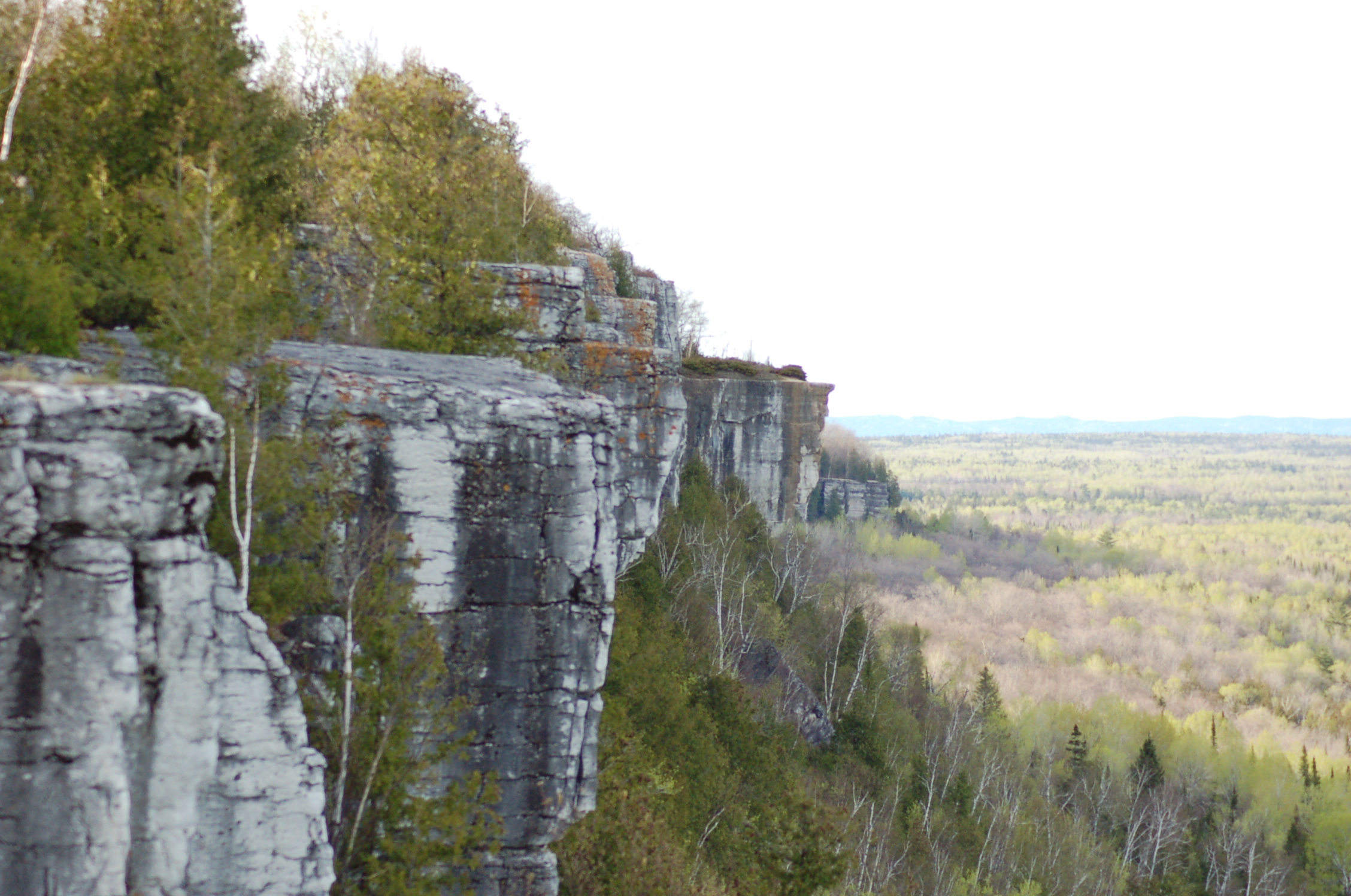 Cup and Saucer Trail