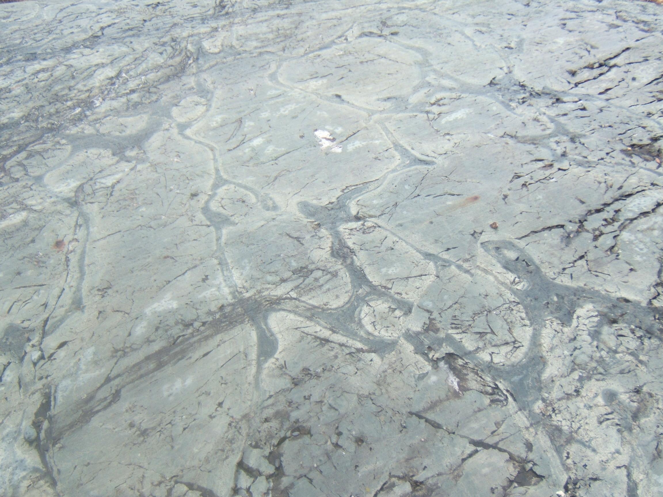 Weathered Precambrian pillow lava in the Temagami greenstone belt of the Canadian Shield in Eastern Canada.