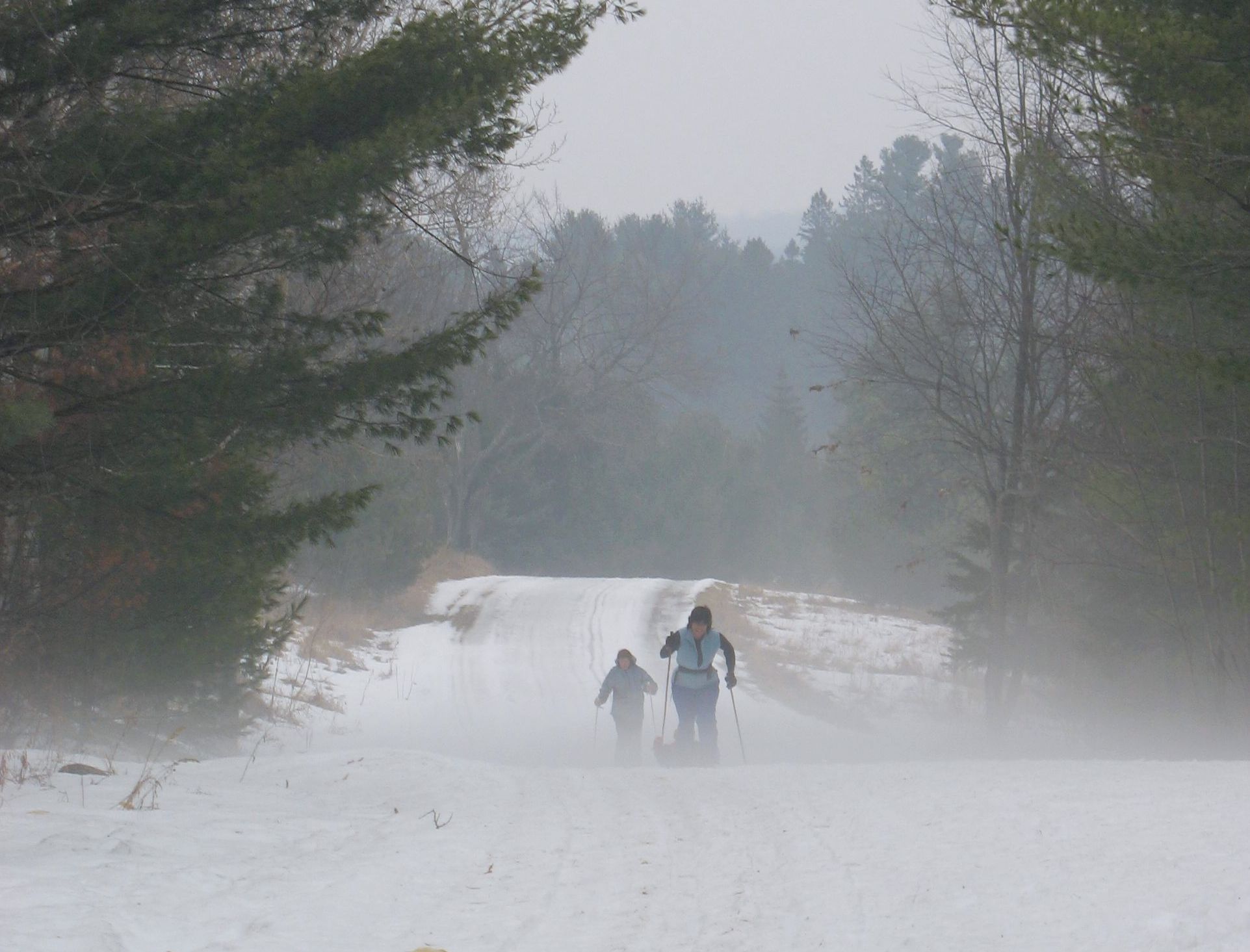 Fog from melting snow, Gatineau Park, Quebec.