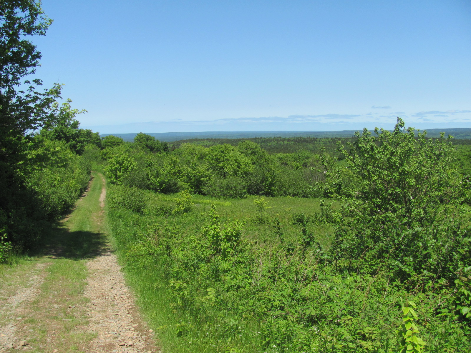 The abandoned fields of New Yarmouth, Nova Scotia, part of Cape Chignecto Provincial Park.