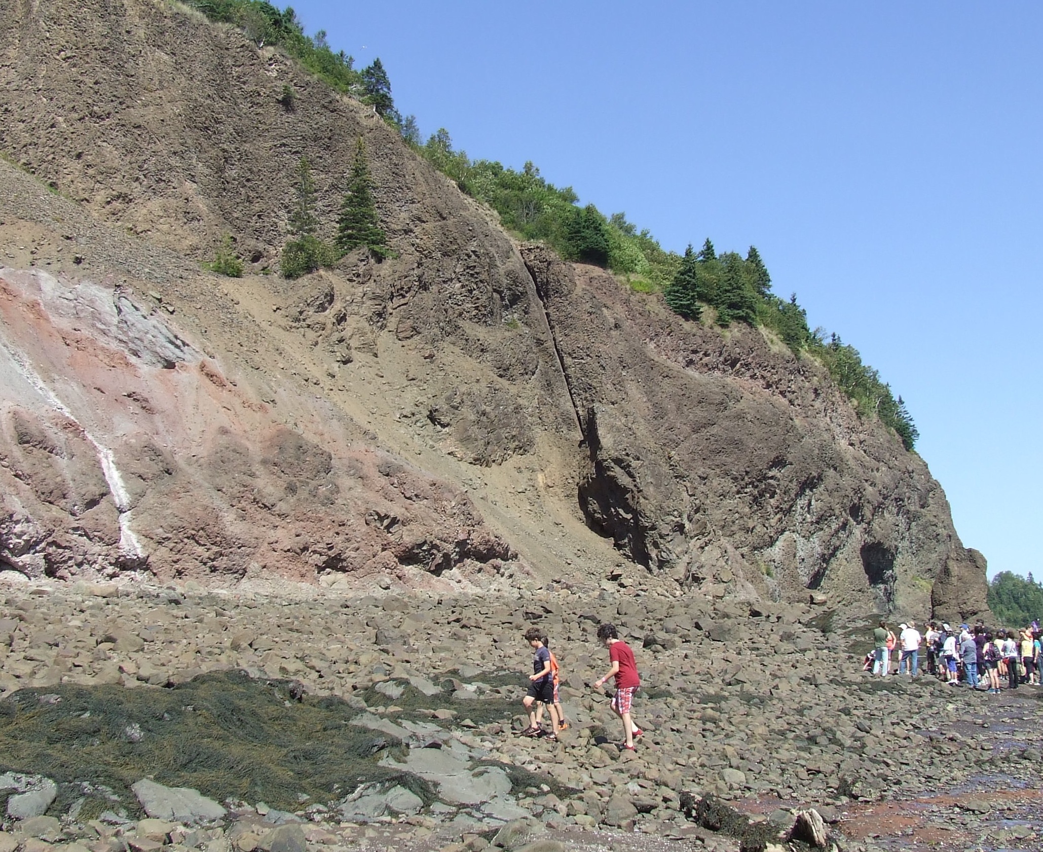 Eastern end of Wasson Bluff where reddish sandstones of the McCoy Brook Formation (Lower Jurassic: Hettangian to Pliensbachian) are onlapping on the dark brown weathering Hettangian North Mountain Basalt. Since all the strata are inclined by about 30° to the west and due to the angle of shooting, the onlapping of the sandstones is not well visible in the picture. North shore of the Minas Basin, about 7 km SE from Parrsboro, Nova Scotia, Canada. Photo was taken at low tide.