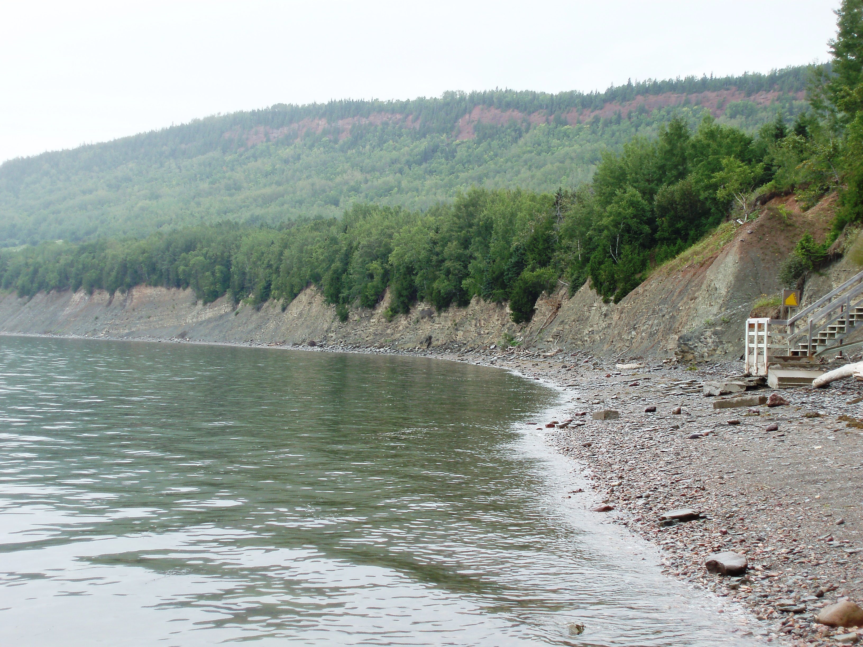 Falaise du Parc national de Miguasha (Québec), dans laquelle affleurent les couches dévoniennes riches en fossiles de poisson.  

Cliff of the Miguasha National Park (Québec), with the Devonian beds that are rich in fish fossils.