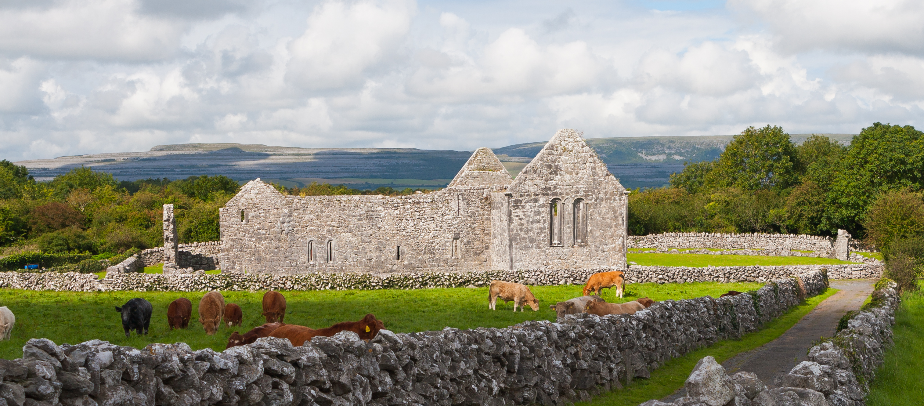 East range of the Augustinian abbey of St. Mary de Petra, commonly called O'Heyne's Abbey after the founder.