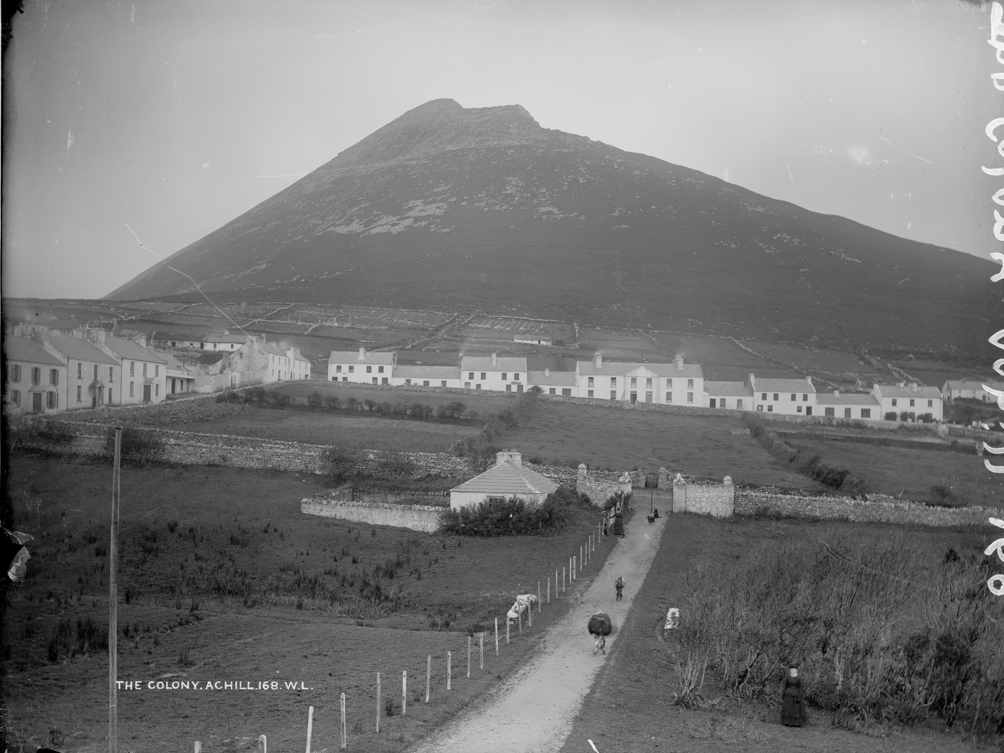 Sounding a little ominous (perhaps somewhere Patrick McGoohan might have spent some time), today we visit "The Colony" on Achilll island. Depending on when French captured this image, it's likely that Nangle's mission was all but closed by this time....
Photographer: French, Robert (1841-1917)
Contributors: Lawrence, William (1840-1932)
Collection: Lawrence Photograph Collection
Date: 1880-1900
NLI Ref: L_ROY_00168
You can also view this image, and many thousands of others, on the NLI’s catalogue at catalogue.nli.ie