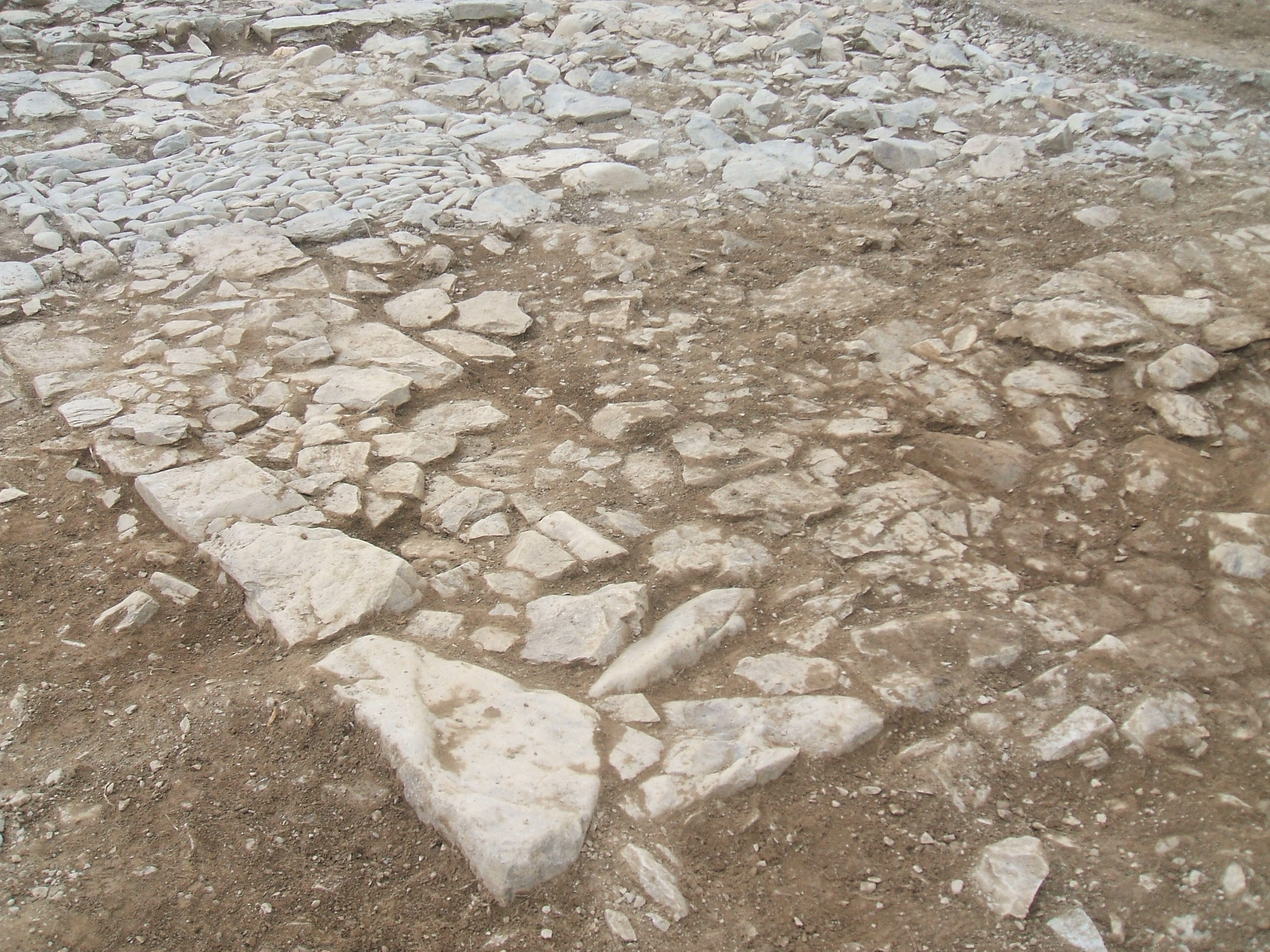 The excavation of the Gatehouse at Strata Florida