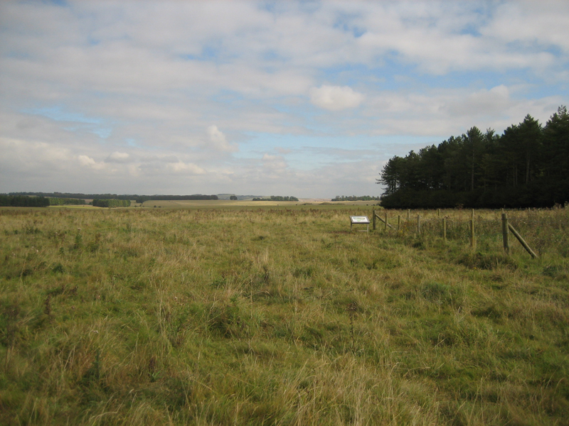 A shot of chalk grassland at the site of the Cursus, one of the ancient monuments found in the Stonehenge Landscape