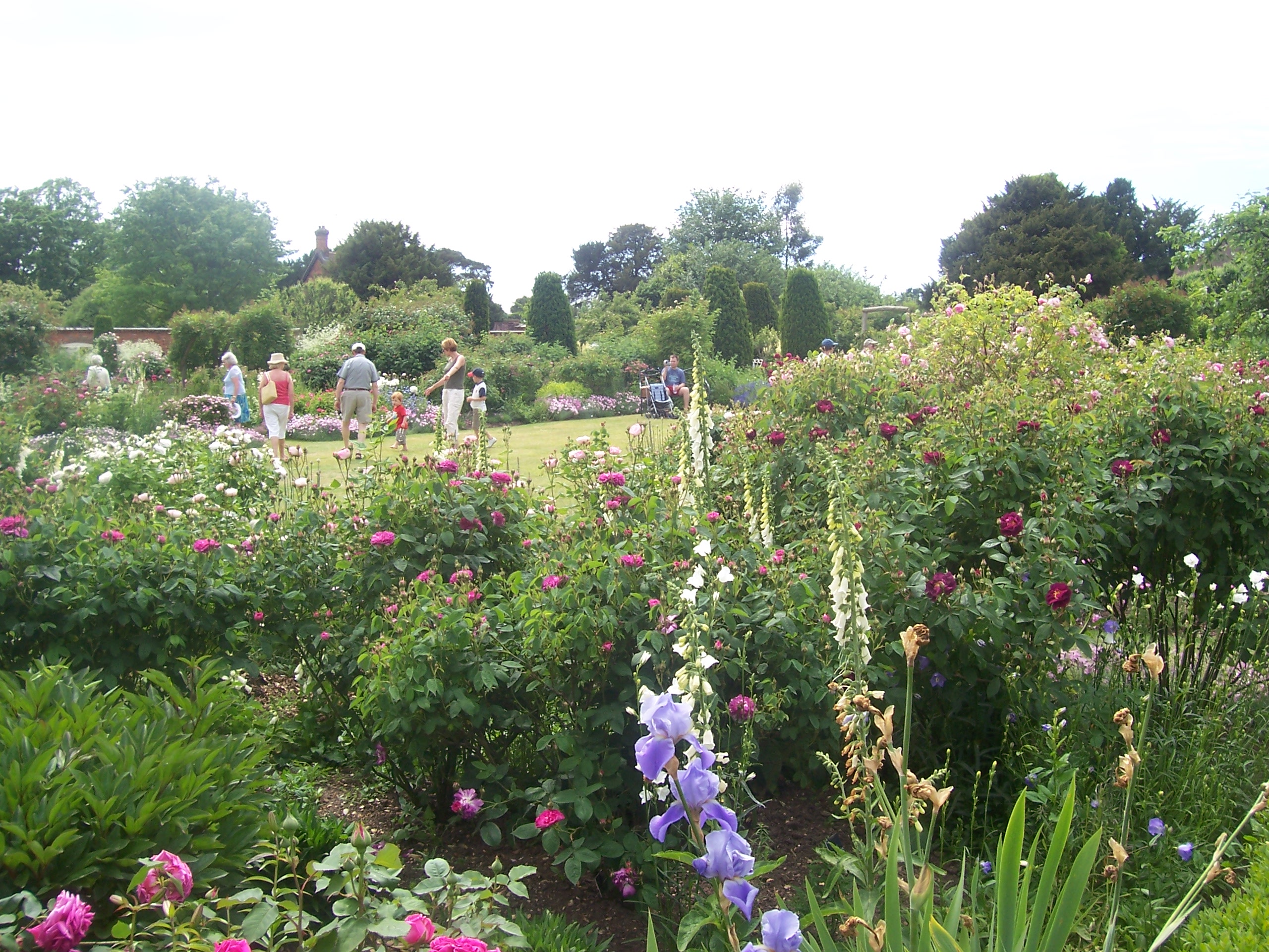 Mottisfont Rose Garden, Hampshire, UK