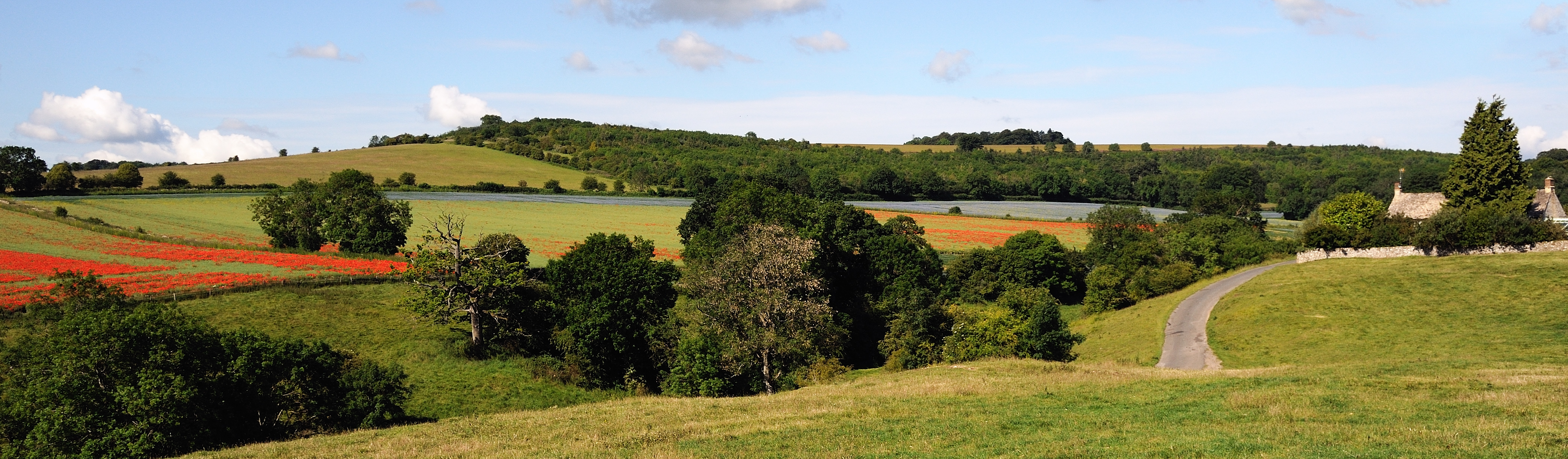 Rolling hills of the Cotswolds near Coberley.