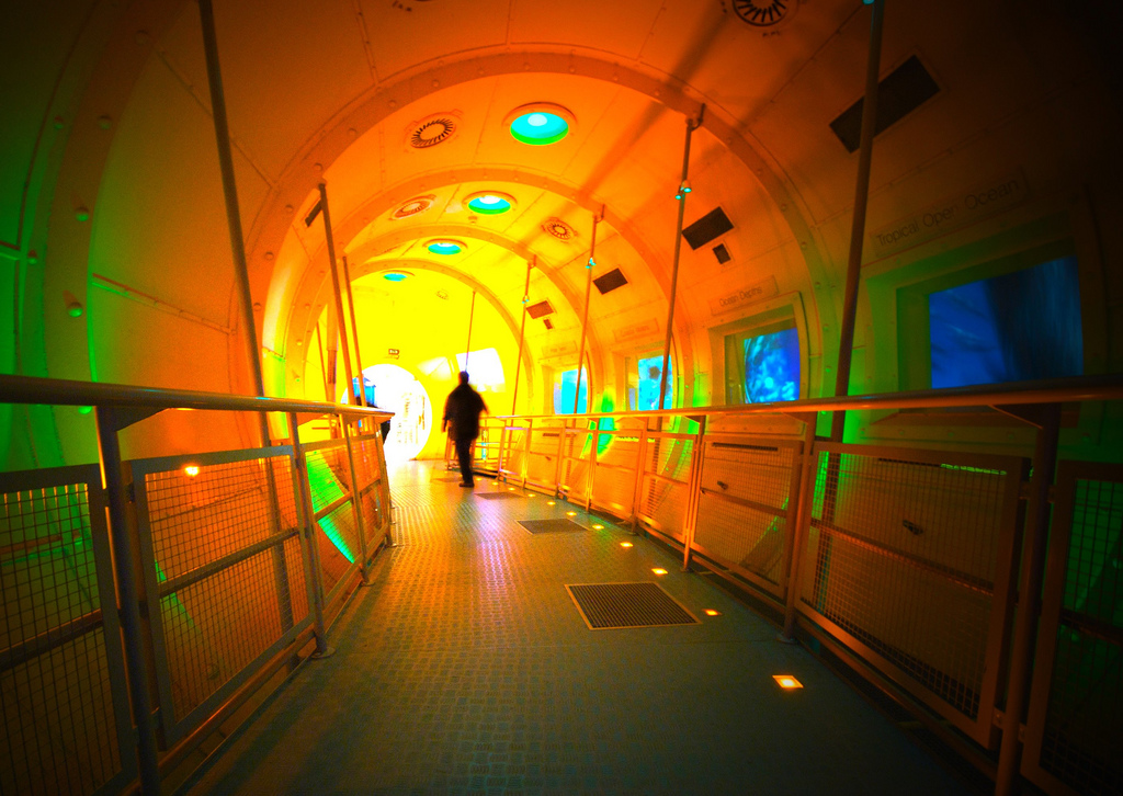 Undersea Tunnel at Our Dynamic Earth, Edinburgh, Scotland