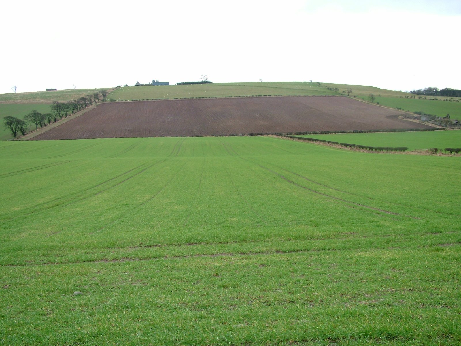 The site of the Battle of Flodden Field in February 2005. This image shows only the western side of the battlefield. The Scottish army advanced down the hill which in this image is ploughed (in the direction of the camera). The English advanced down the grassy field away from the camera. The boundary between the ploughed field and the grassed field in the foreground forms a valley between the two fields.