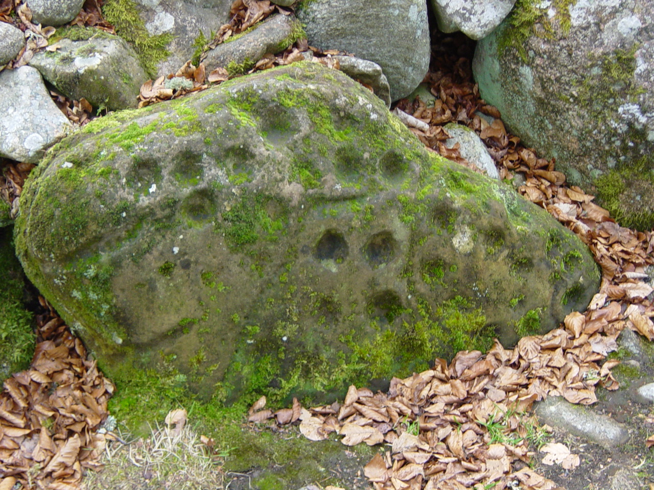 Cup Marks Cairn.jpg