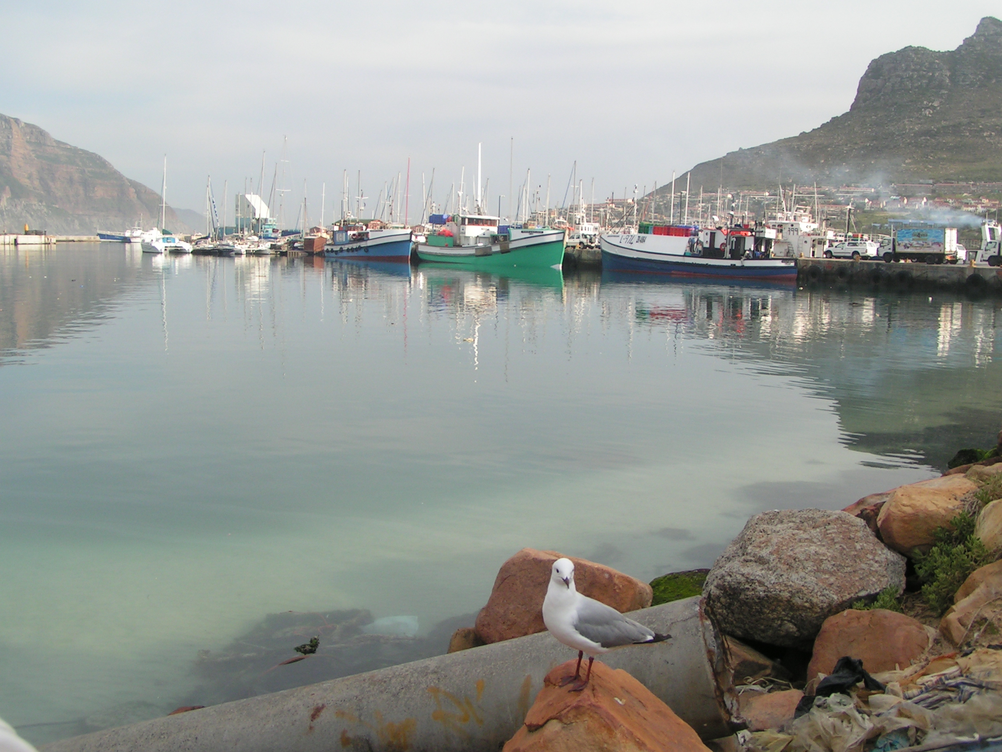 Hout Bay Harbour