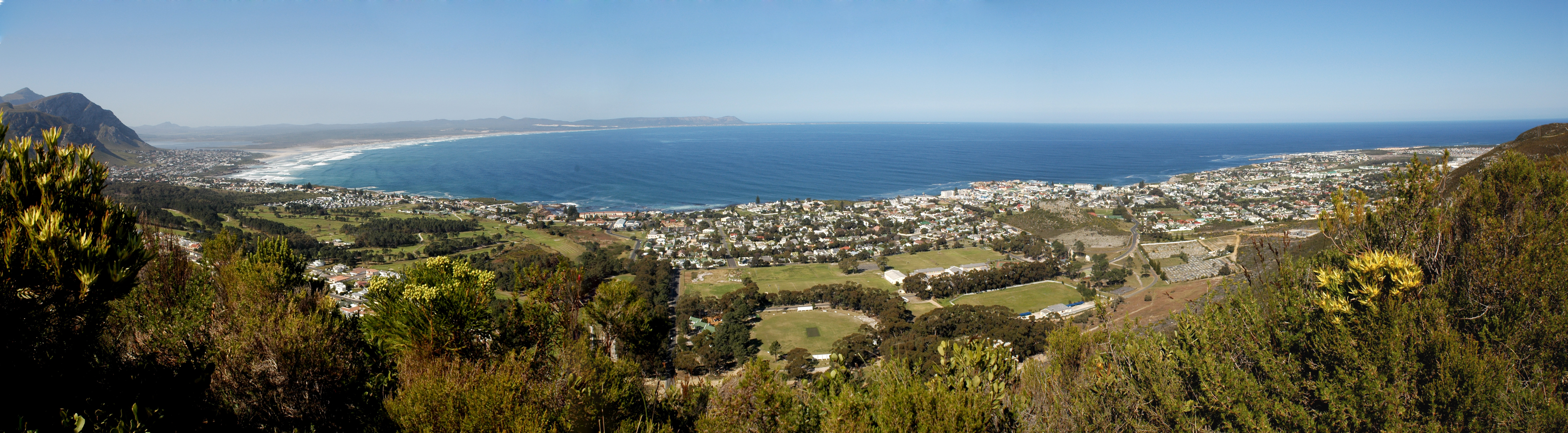 Panoramic view of Hermanus