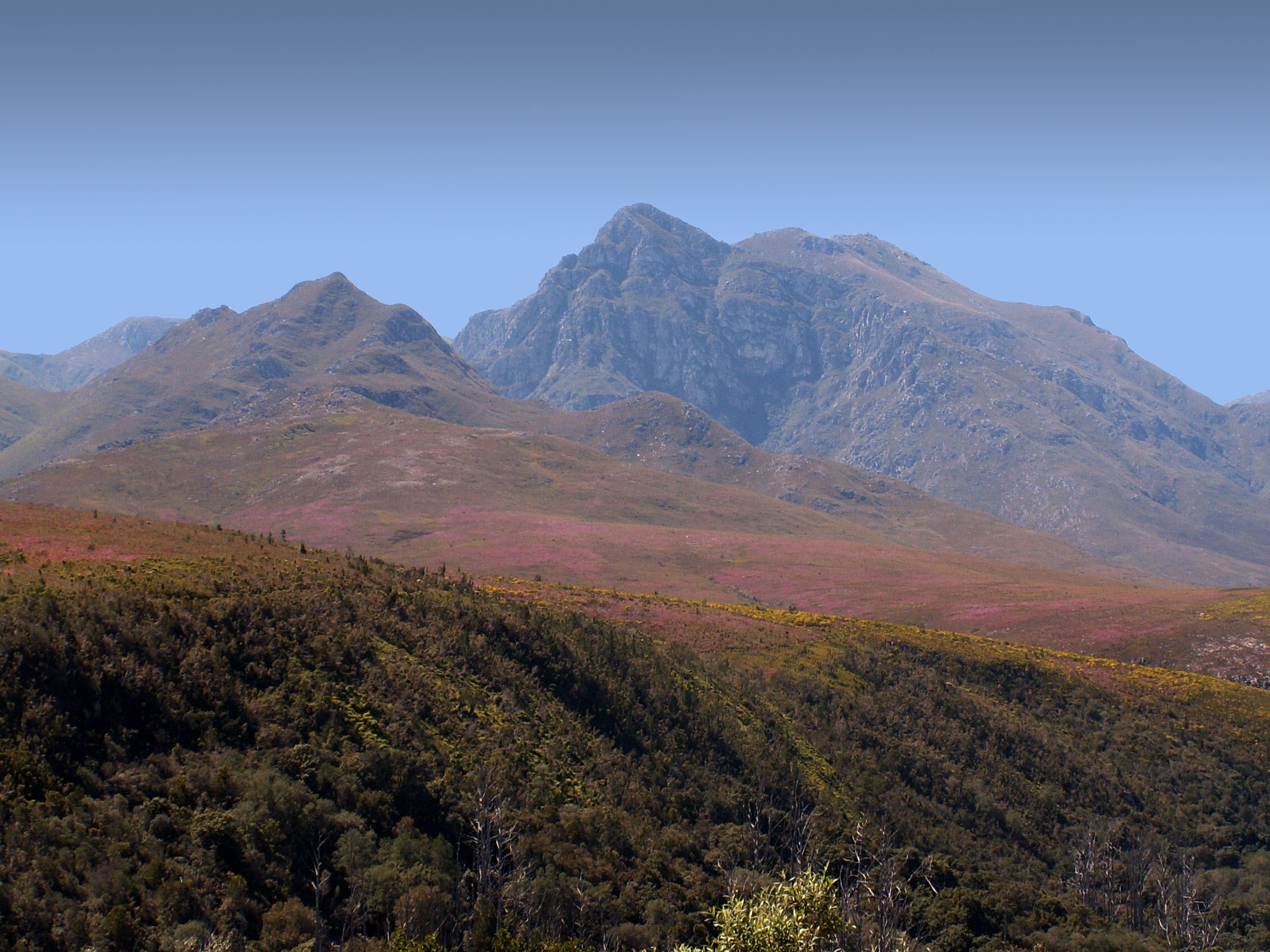 Grootberg and the mountain scenery of the Boosmansbos and Grootvadersbosch Nature Reserves in the Barrydale area of the Langeberg Range, Western Cape, South Africa