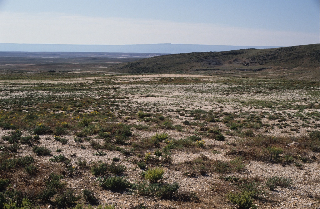 Quartz stone covered landscape of the Knersvlakte, north of Vanrynsdorp