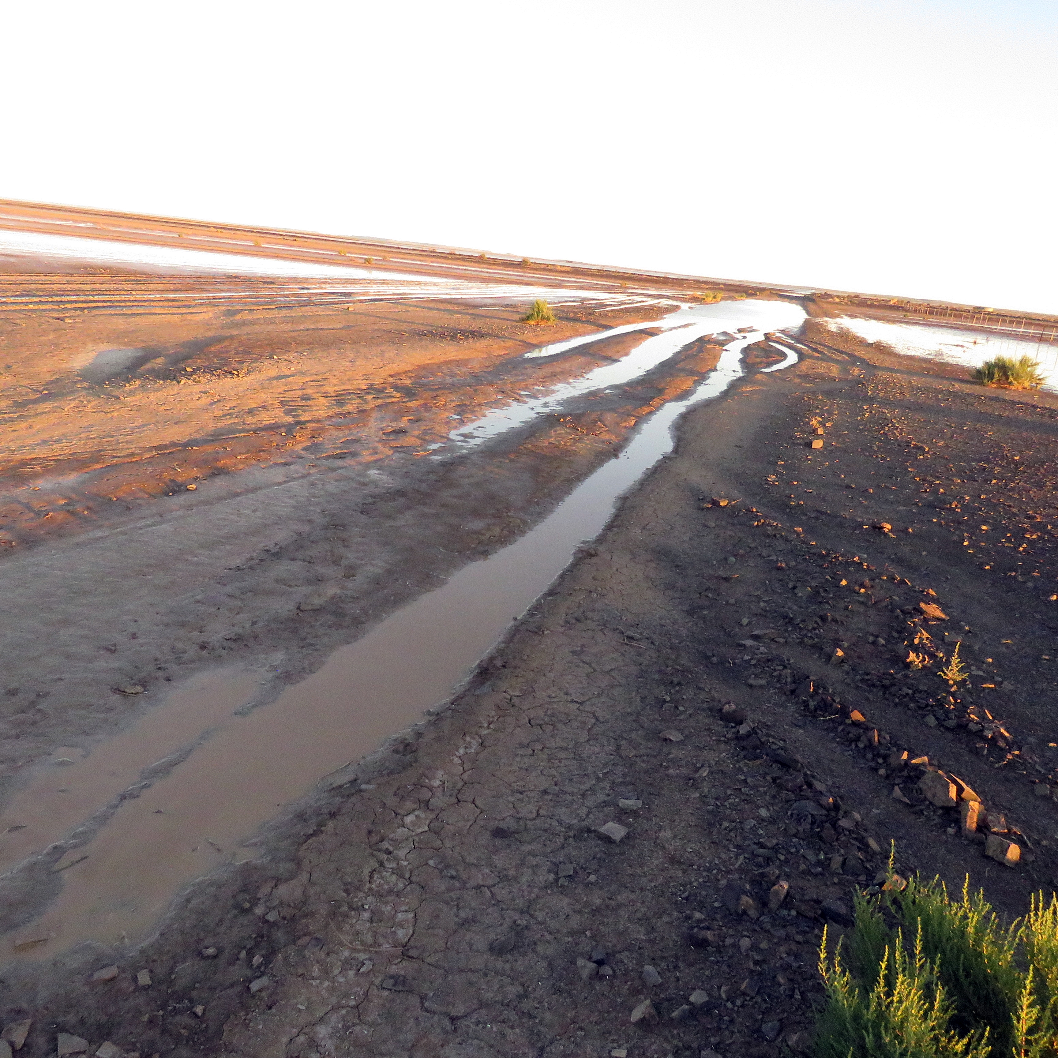 This is an image with the theme "Home + Habitat in Africa" from: