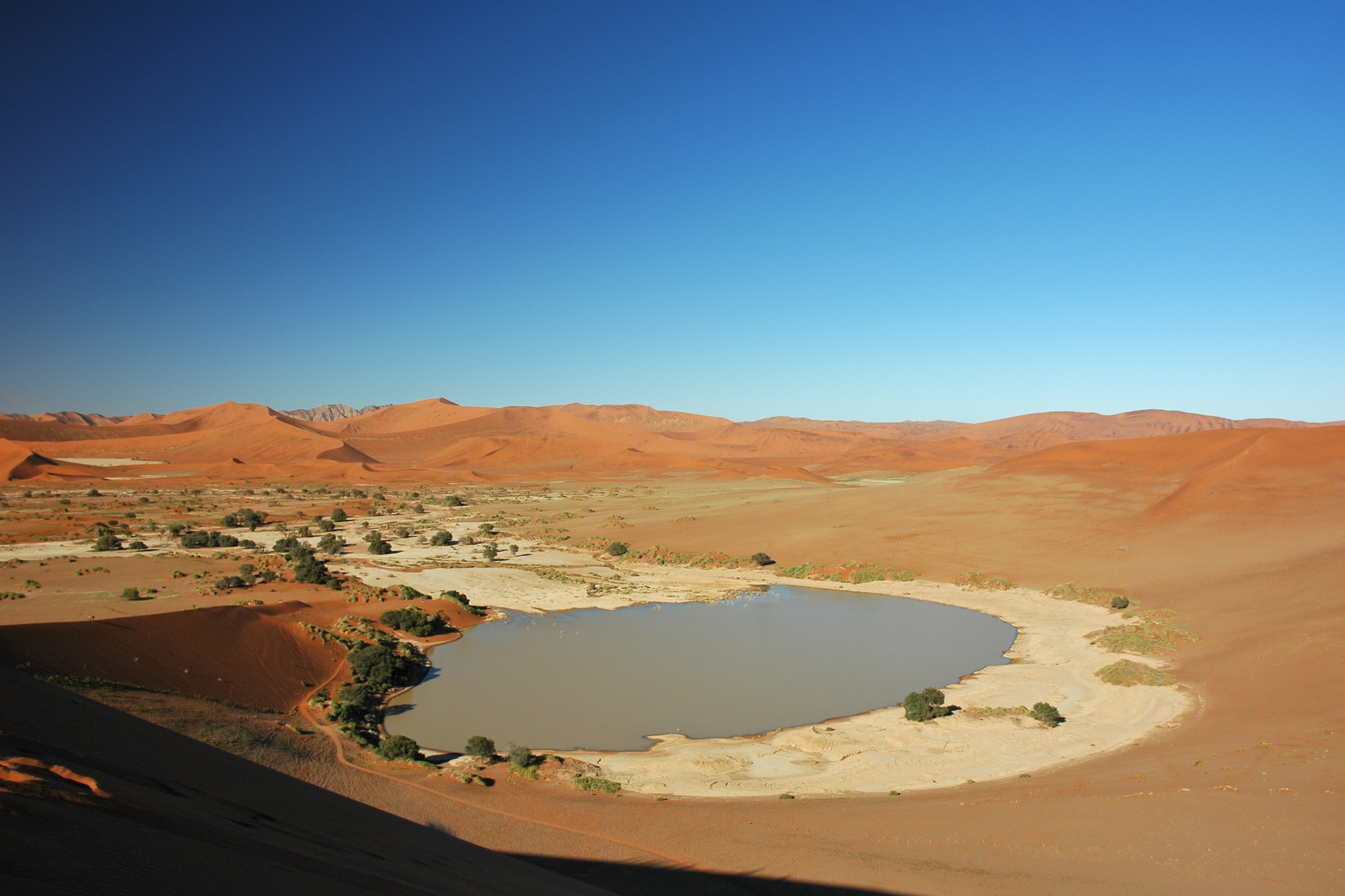 The clay pan at Sossusvlei filled with water, as it can be seen once in a decade. It is fed by the Tsauchab river via the Sesriem canyon, and is situated in the central Namib Naukluft, western Hardap Region, Namibia