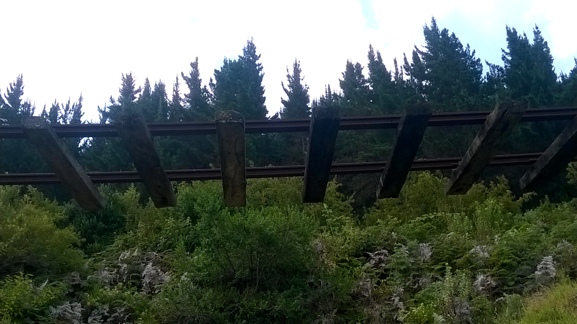 Photographic evidence of the state of the Knysna-George Railway line, the route of the famous Outeniqua Choo-Tjoe, in the Goukamma Valley, as evidence of its extreme decline since 2016.