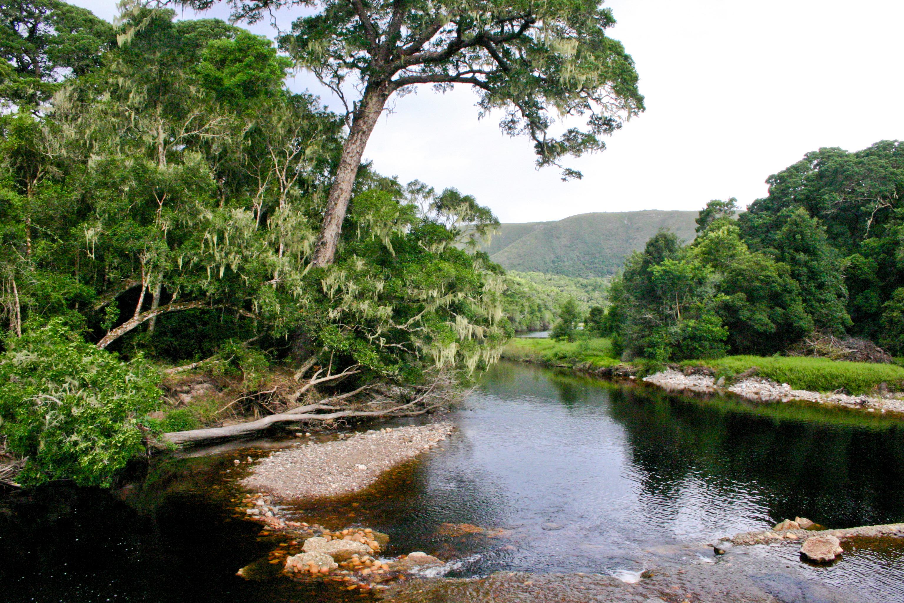 Groot River at Nature's Valley, Western Cape.