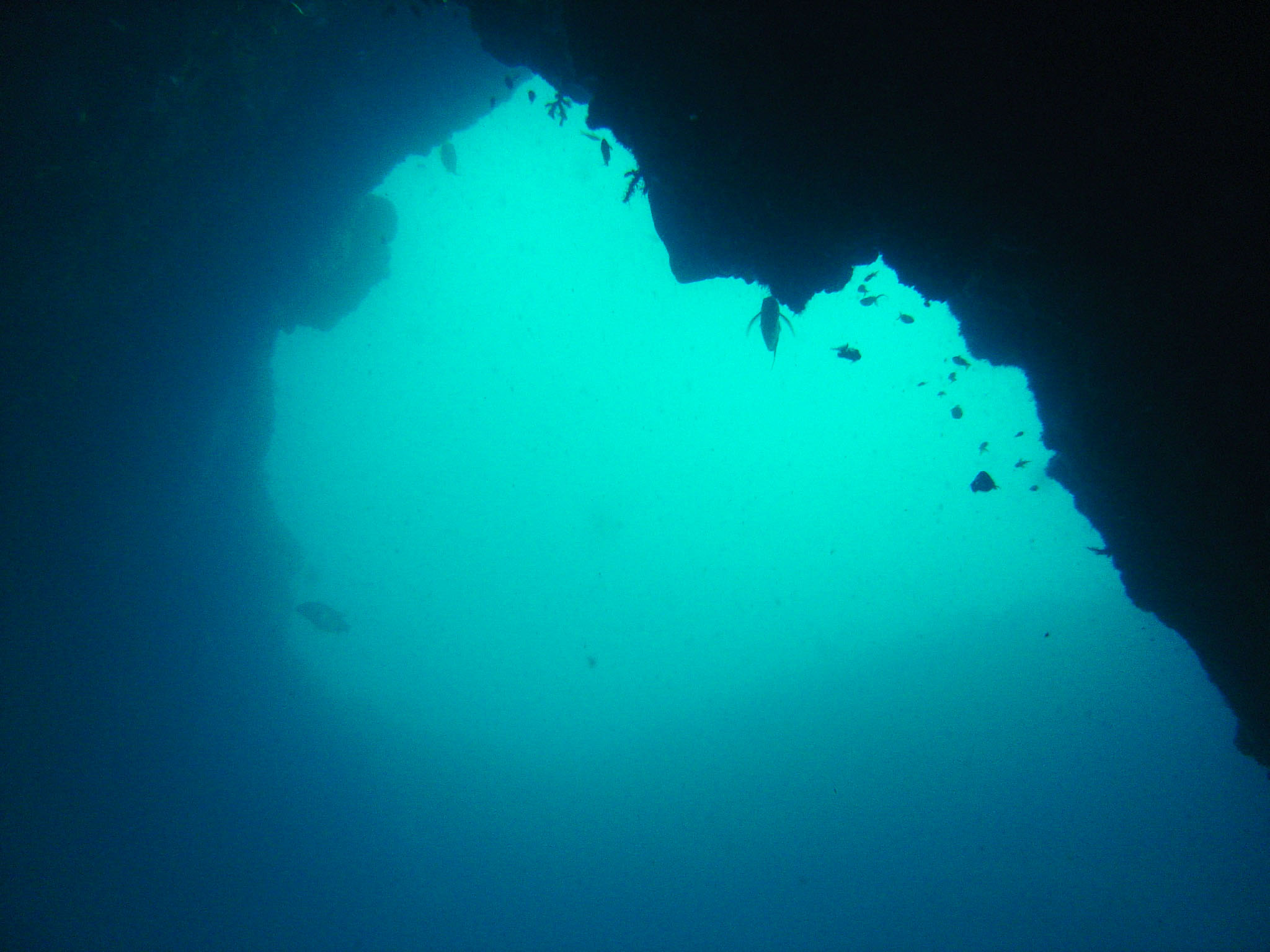 Arch at Cathedra dive site on the Aliwal shoal, near Umkomaas in the Kwa-Zulu-Natal province of South Africa.
