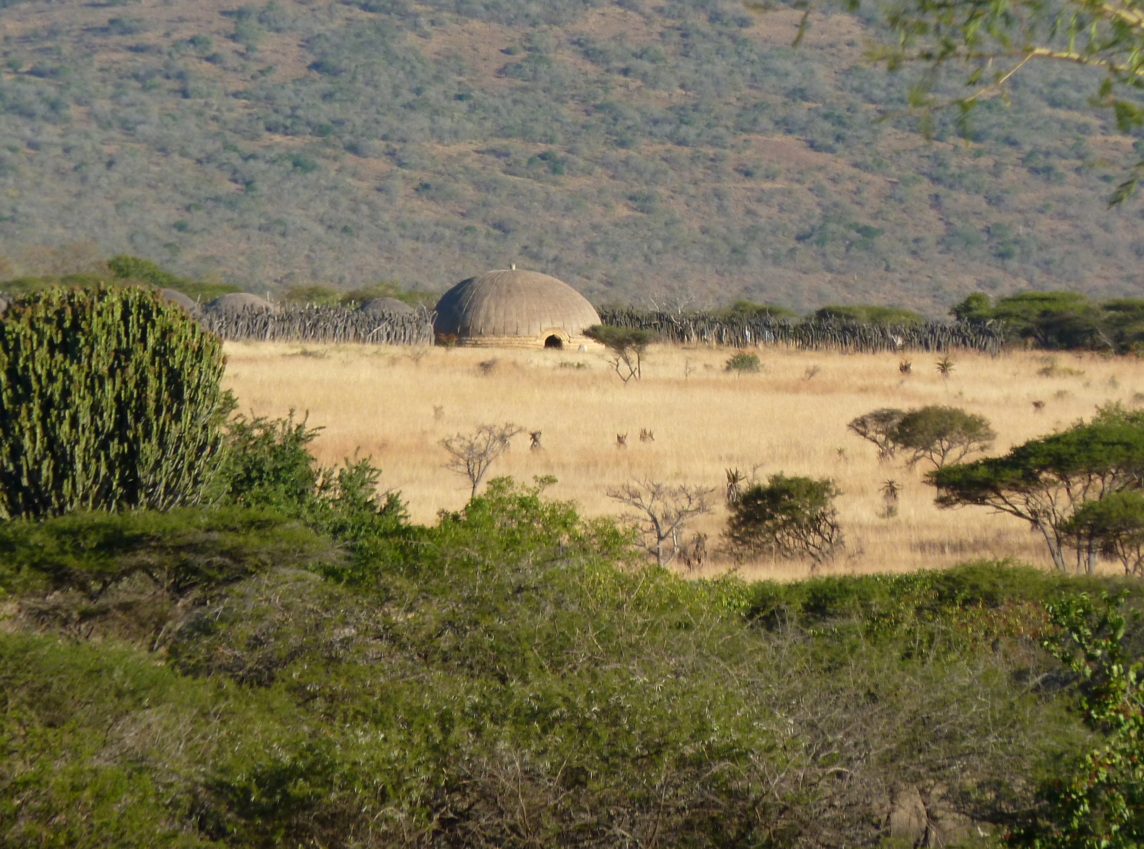 The rebuilt Great audience hut/house (indlu-nkulu), and to its left, Dingane's private hut (ilawu / ilawo), in the black isiGodlo enclosure, at uMgungundlovu, KwaZulu-Natal, as seen from an observation tower, ¾ km to the north. The oval-shaped main kraal (ikhanda) enclosed the whole of the open grassland area, which is larger than this foreshortened view may suggest.