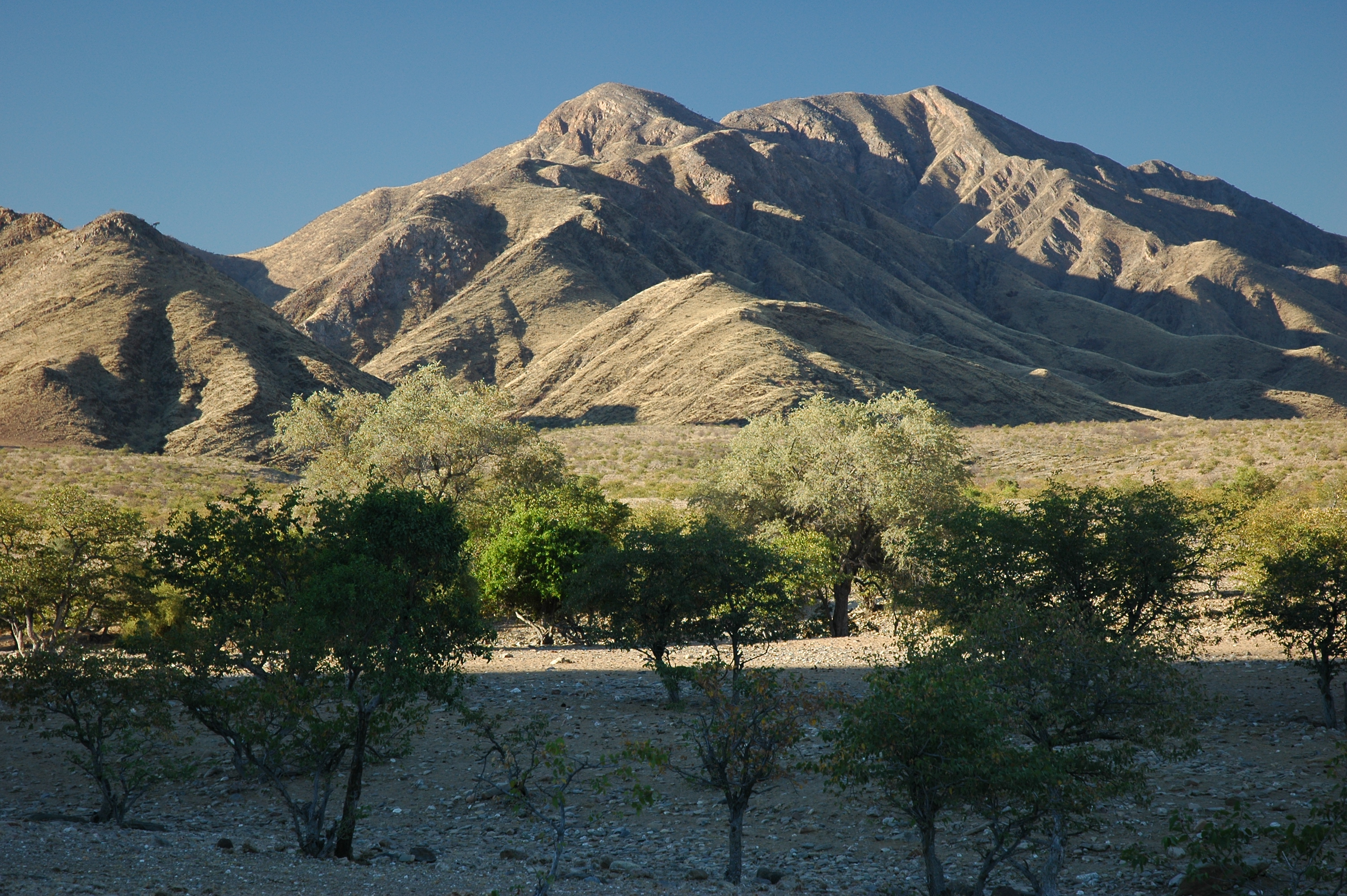 Kaokoland, Namibië

Photographie prise par GIRAUD Patrick