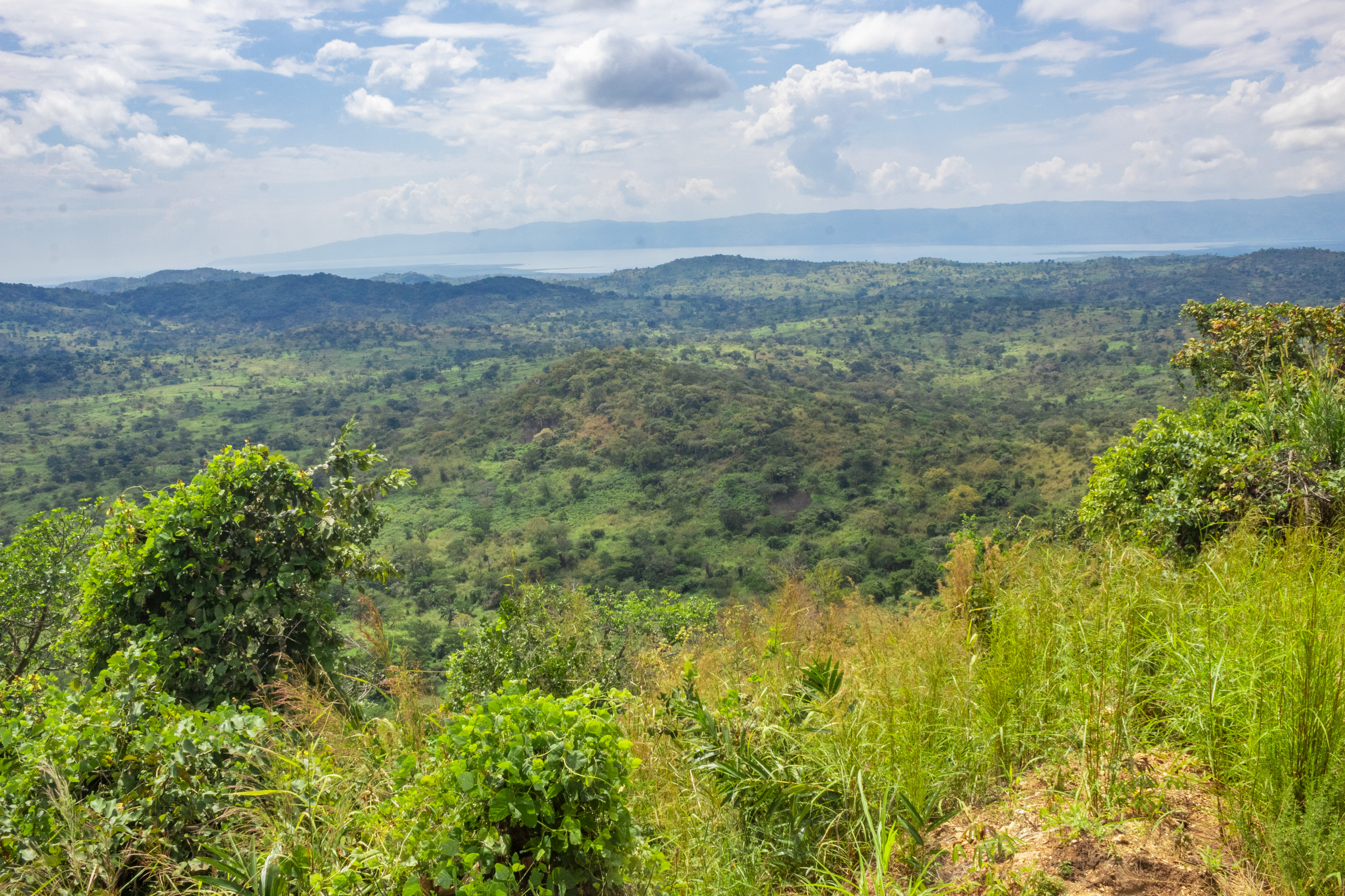 ear Sebele (Foreground) with lake Tanganyika and the Ubwari peninsula seen in the background.