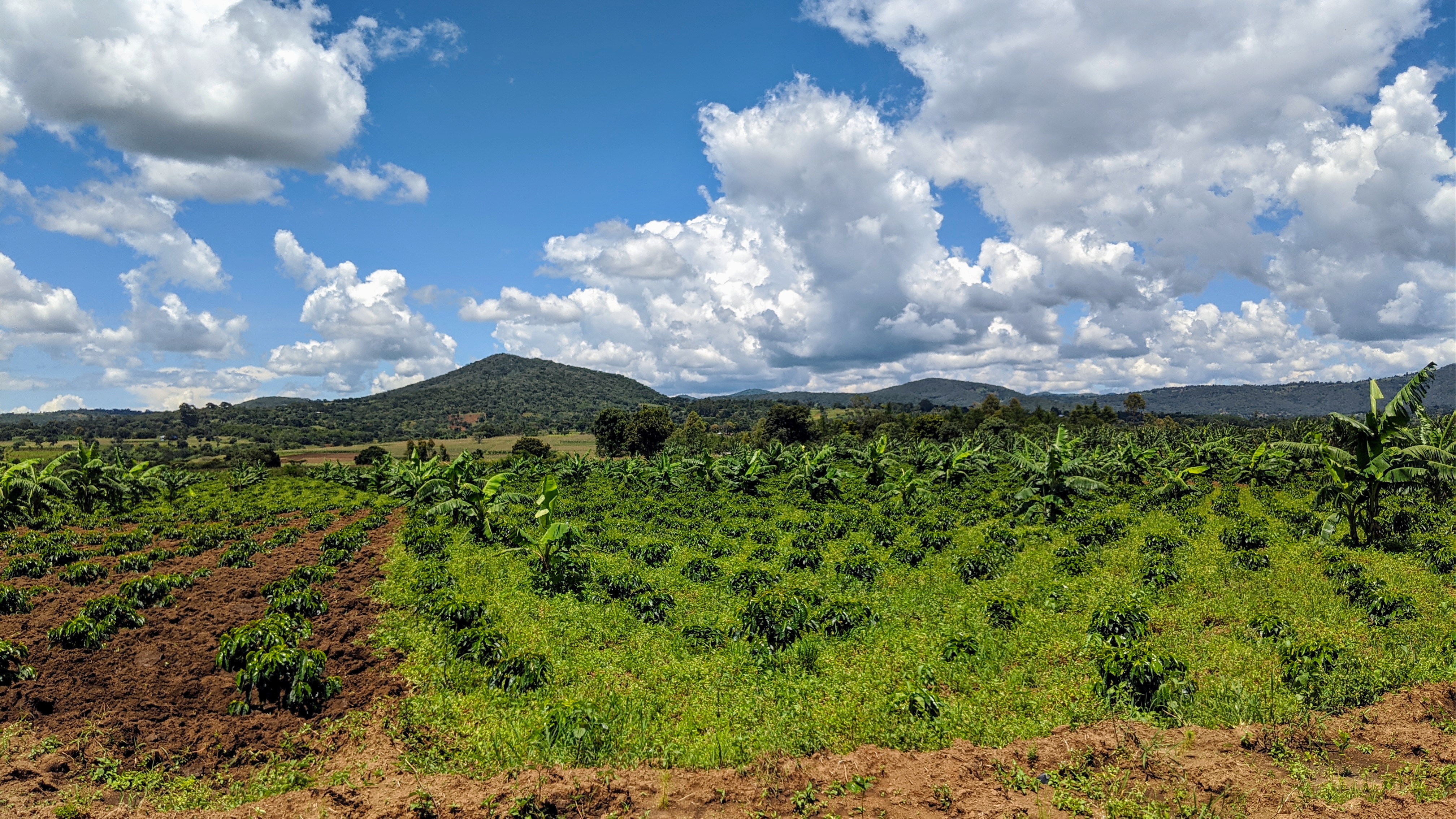 Fields and mountains found in Tanzania in the Songwe region, the mountains in the foreground are bordered by the Mbozi meteorite