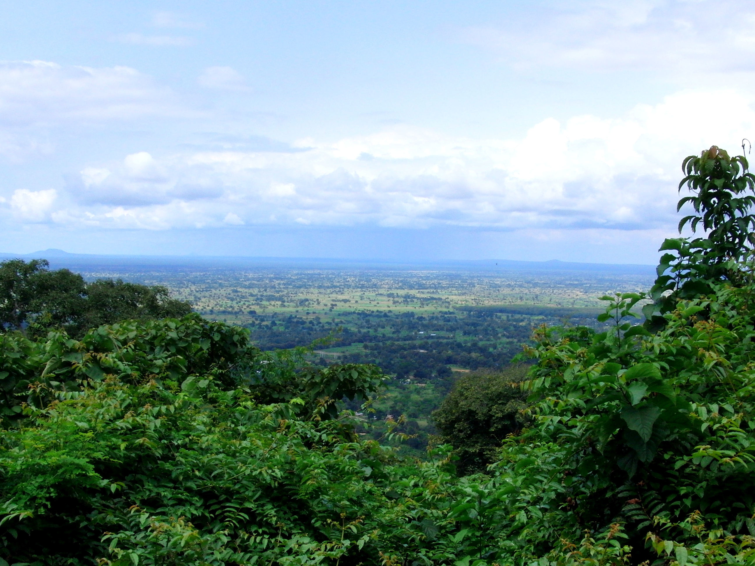 View from the top of the Udzungwa Mountains National Park, Tanzania.