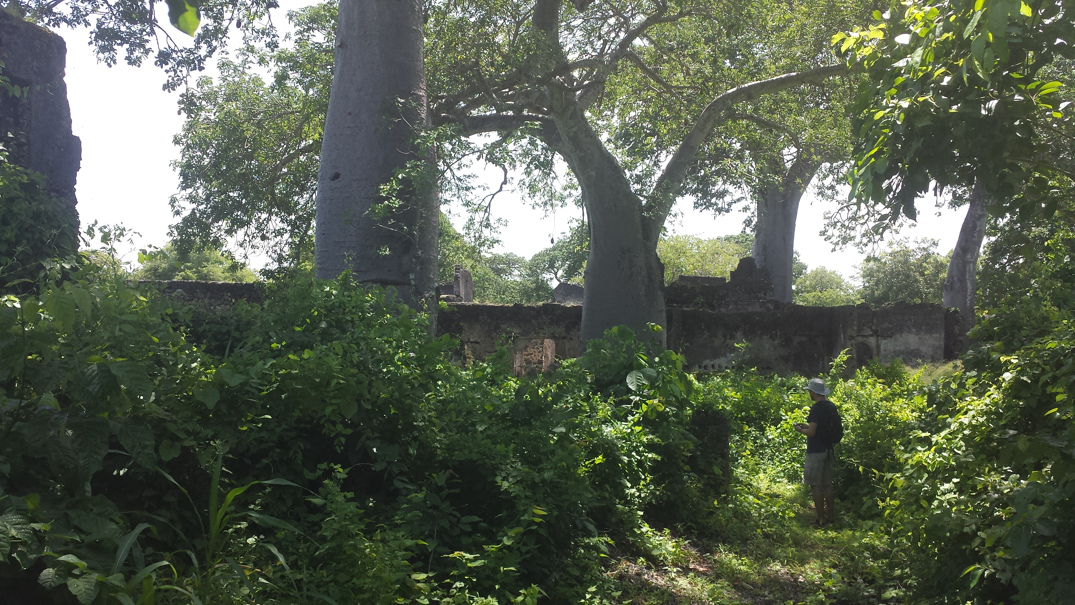 Songo Mnara ruins, Tanzania
main building
