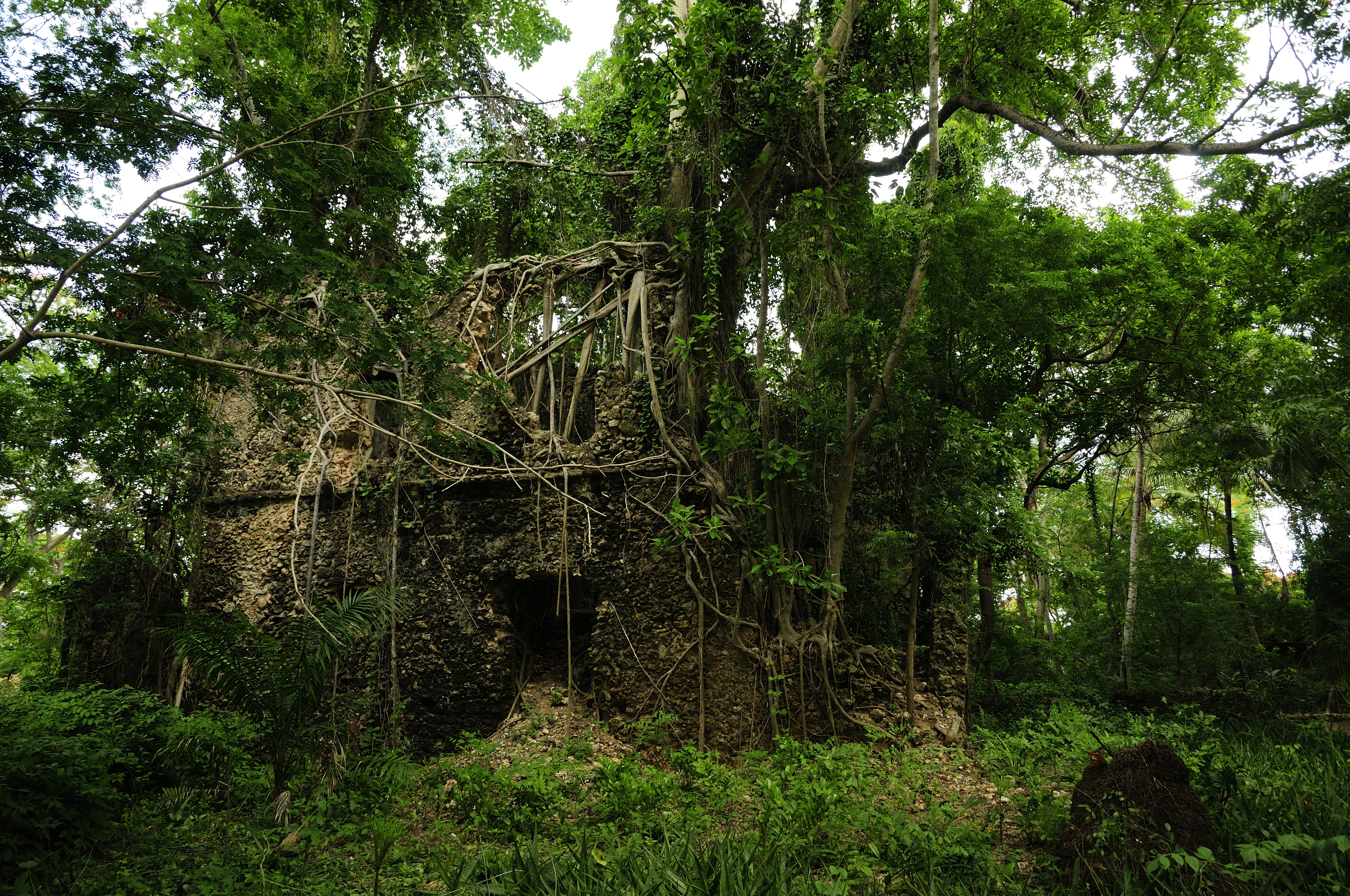 Ruins of Kua on the island of Juani