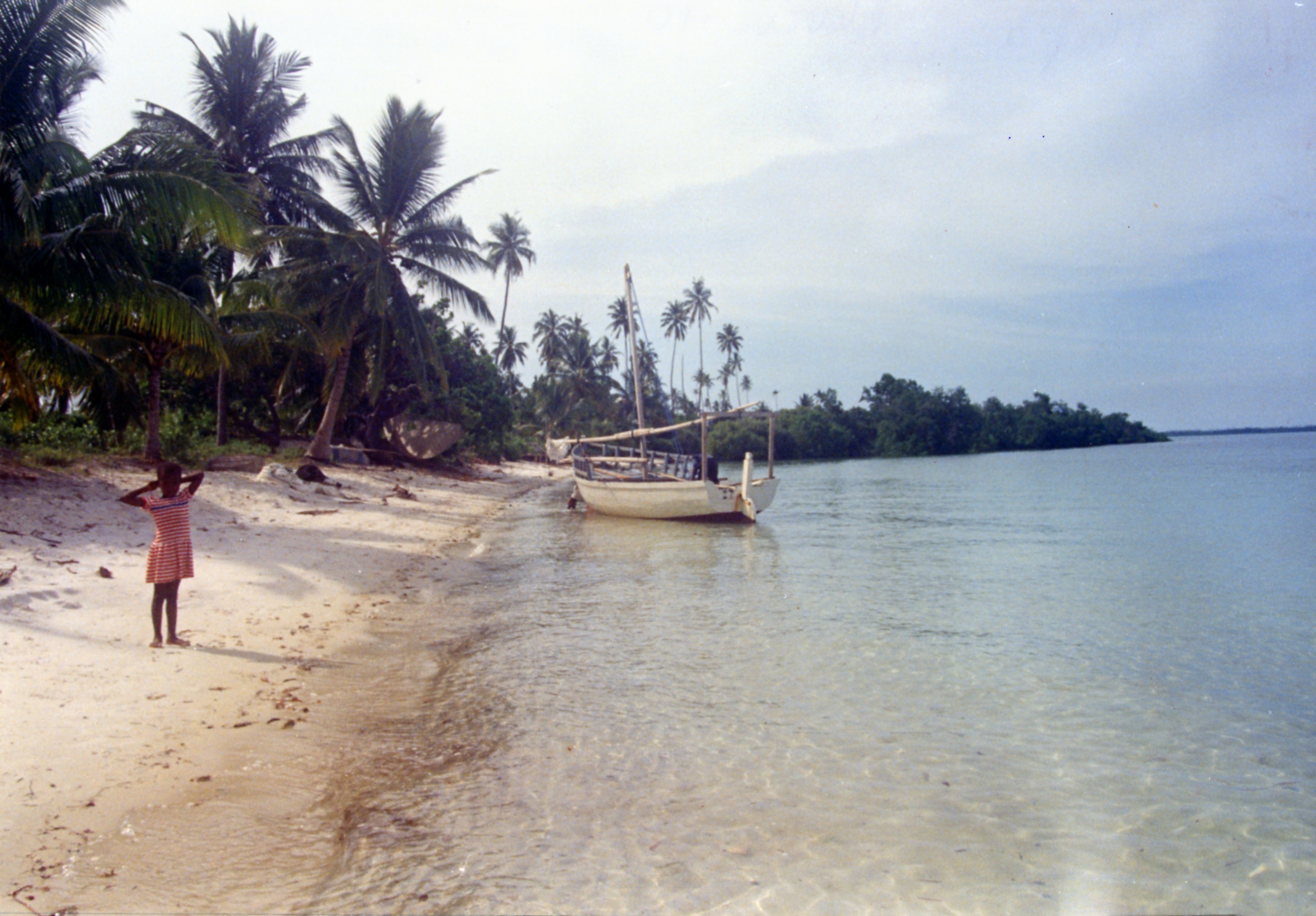 Beach on Mafia Island, Indian Ocean, Tanzania.