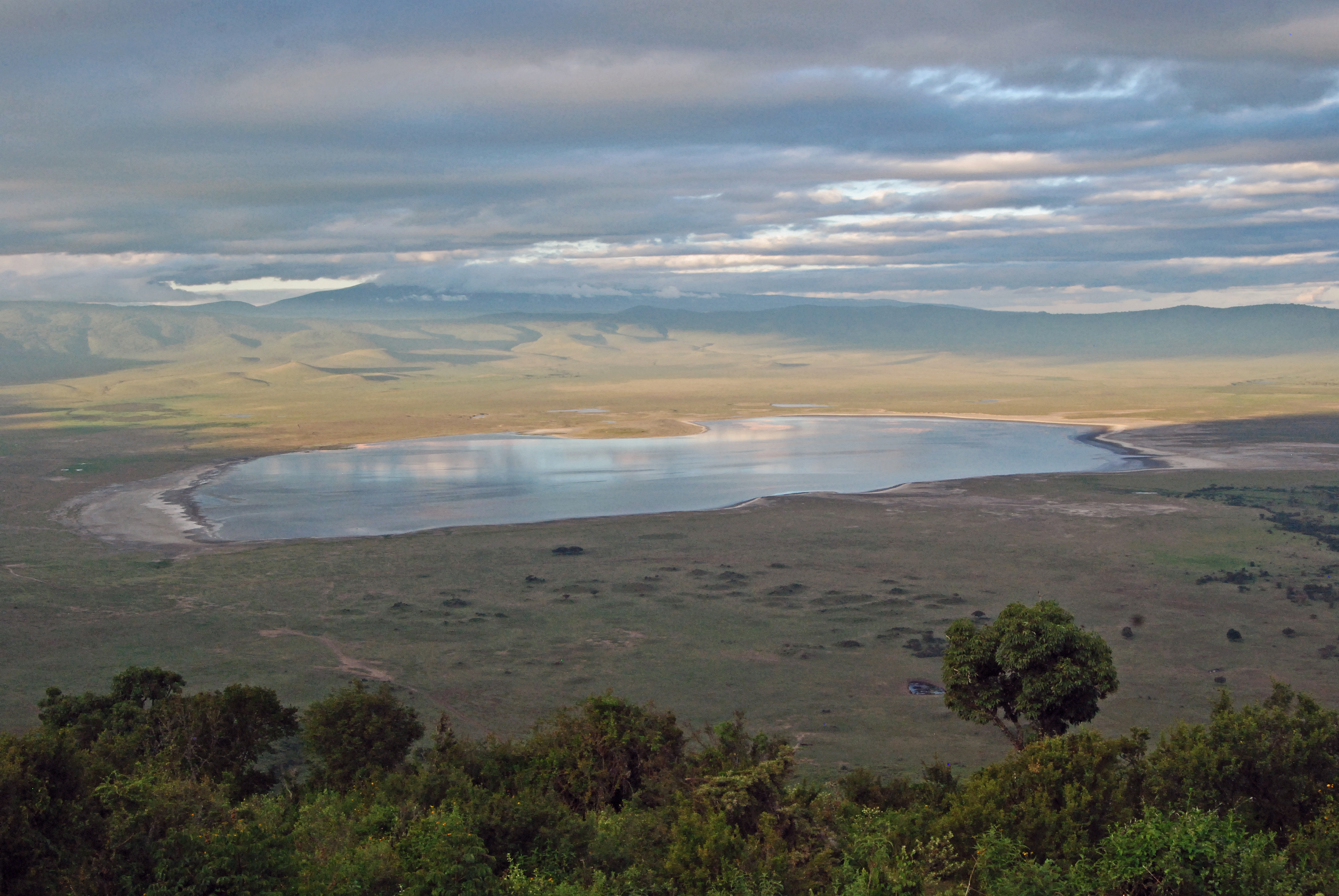 The Ngorongoro Conservation Area (NCA) is a conservation area and a UNESCO World Heritage Site.  The main feature of the NCA is its large, unbroken, unflooded volcanic caldera.  A dominant feature of the Ngorongoro Caldera is Lake Magadi, a shallow soda lake that supports large flocks of flamingo.