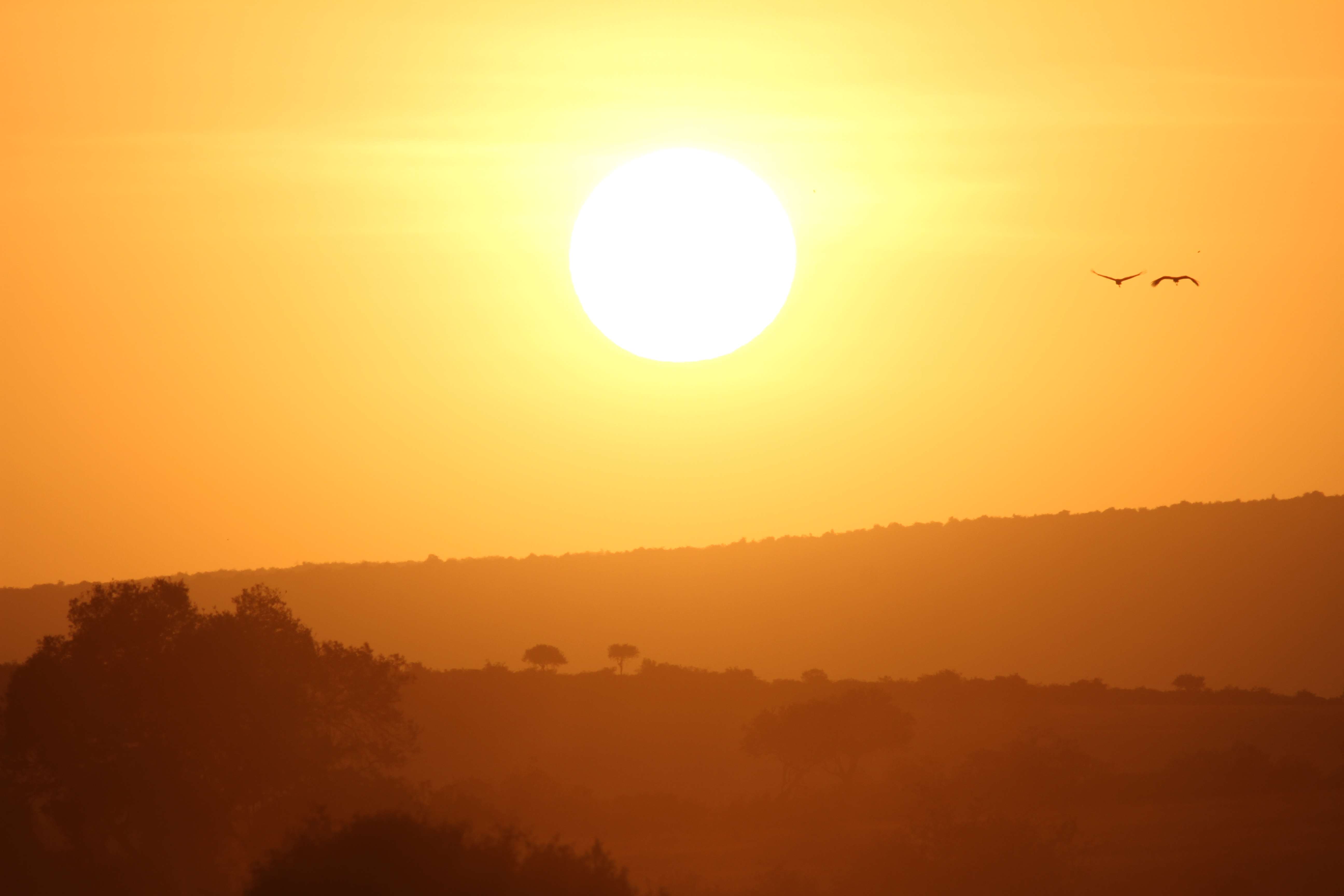 Sunrise at Maasai Mara