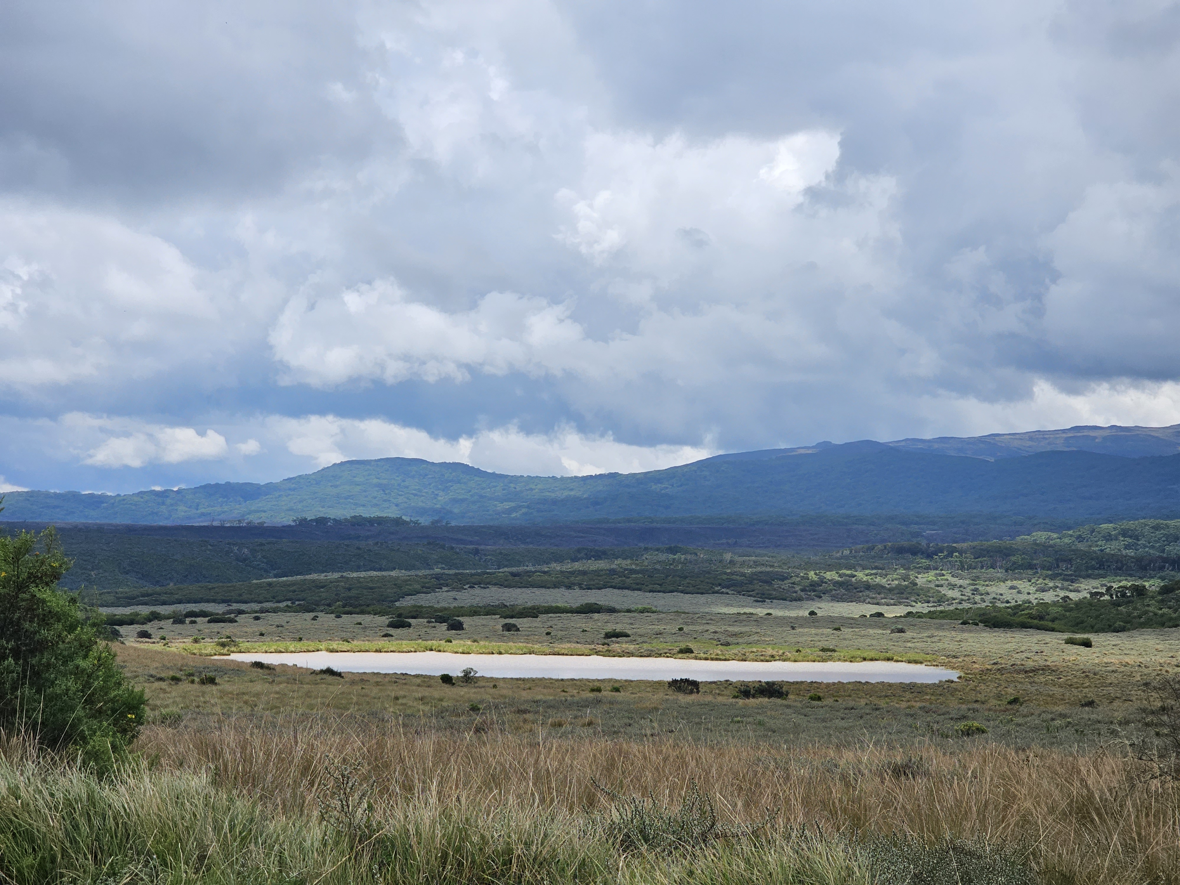 Lake in Aberdare National Park