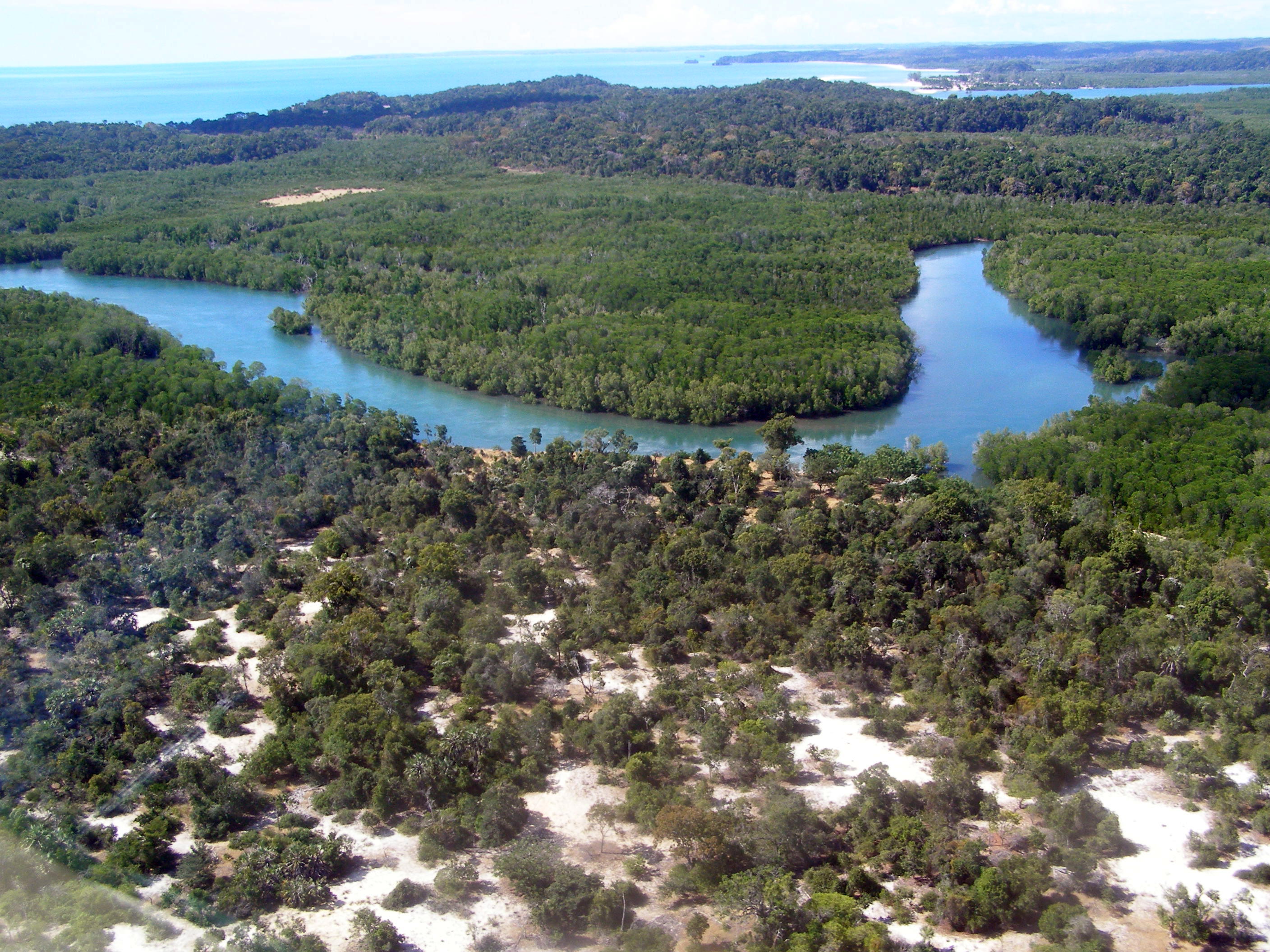 Aerial photo of a portion of the Anjajavy Forest, inset by a swath of mangrove riparian forest.