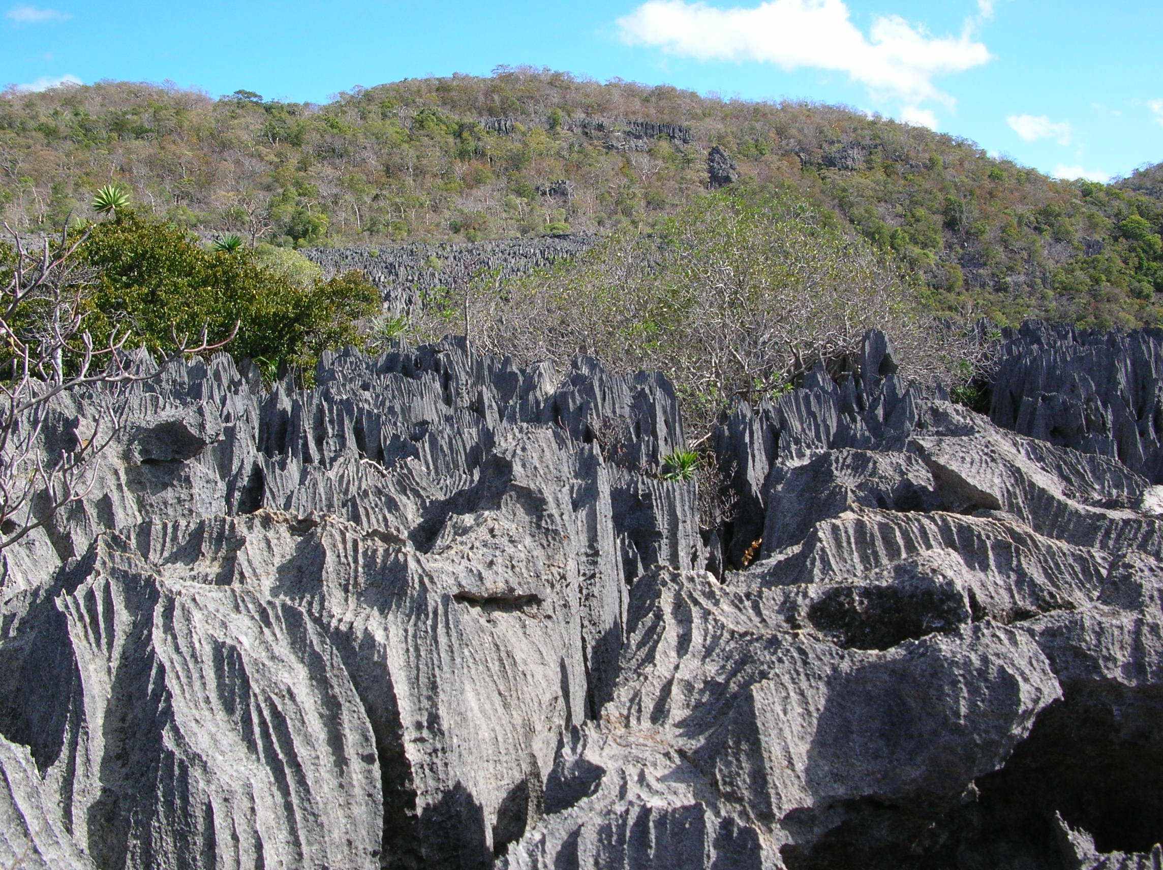 Les grands Tsingy de l'Ankarana, au nord de Madagascar.