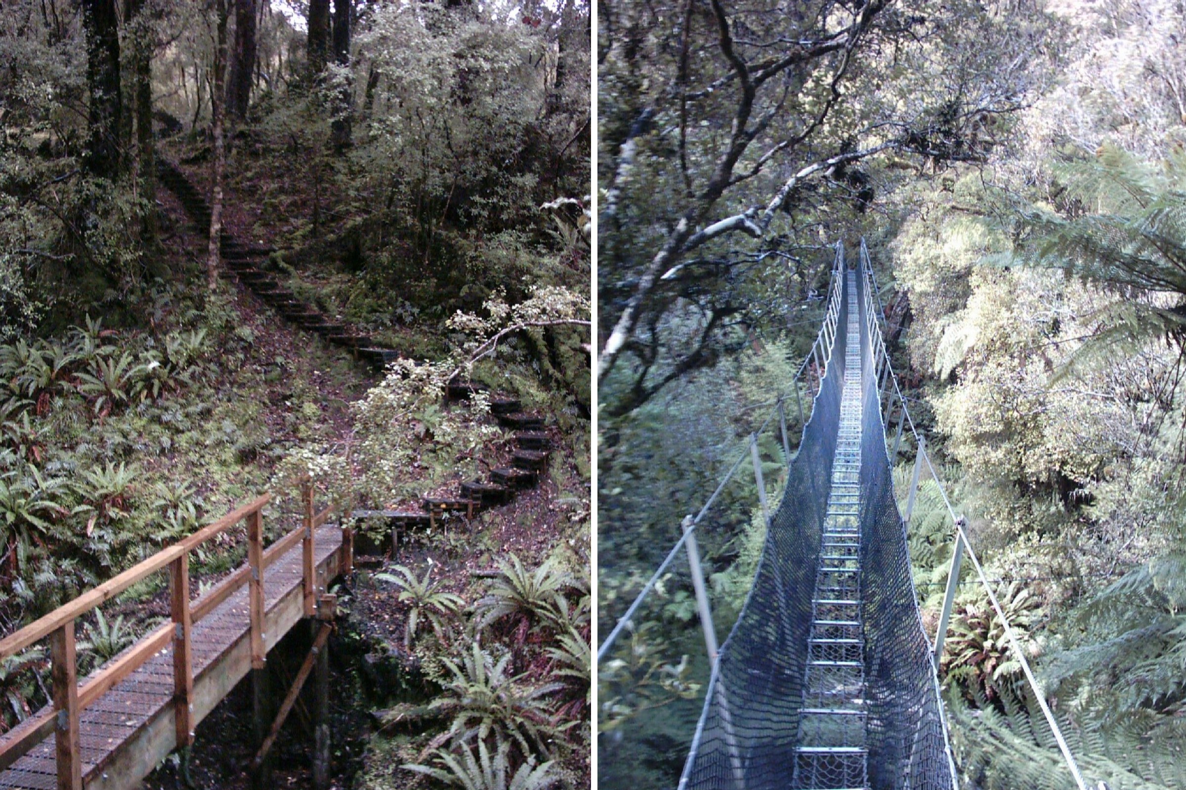 Two sections of the Rakiura Track on Stewart Island, New Zealand. The left shows a typical boardwalk stair covered with netting to prevent slipping on the often very slick surfaces. The right shows one of the handful of suspension bridges encountered on the track.