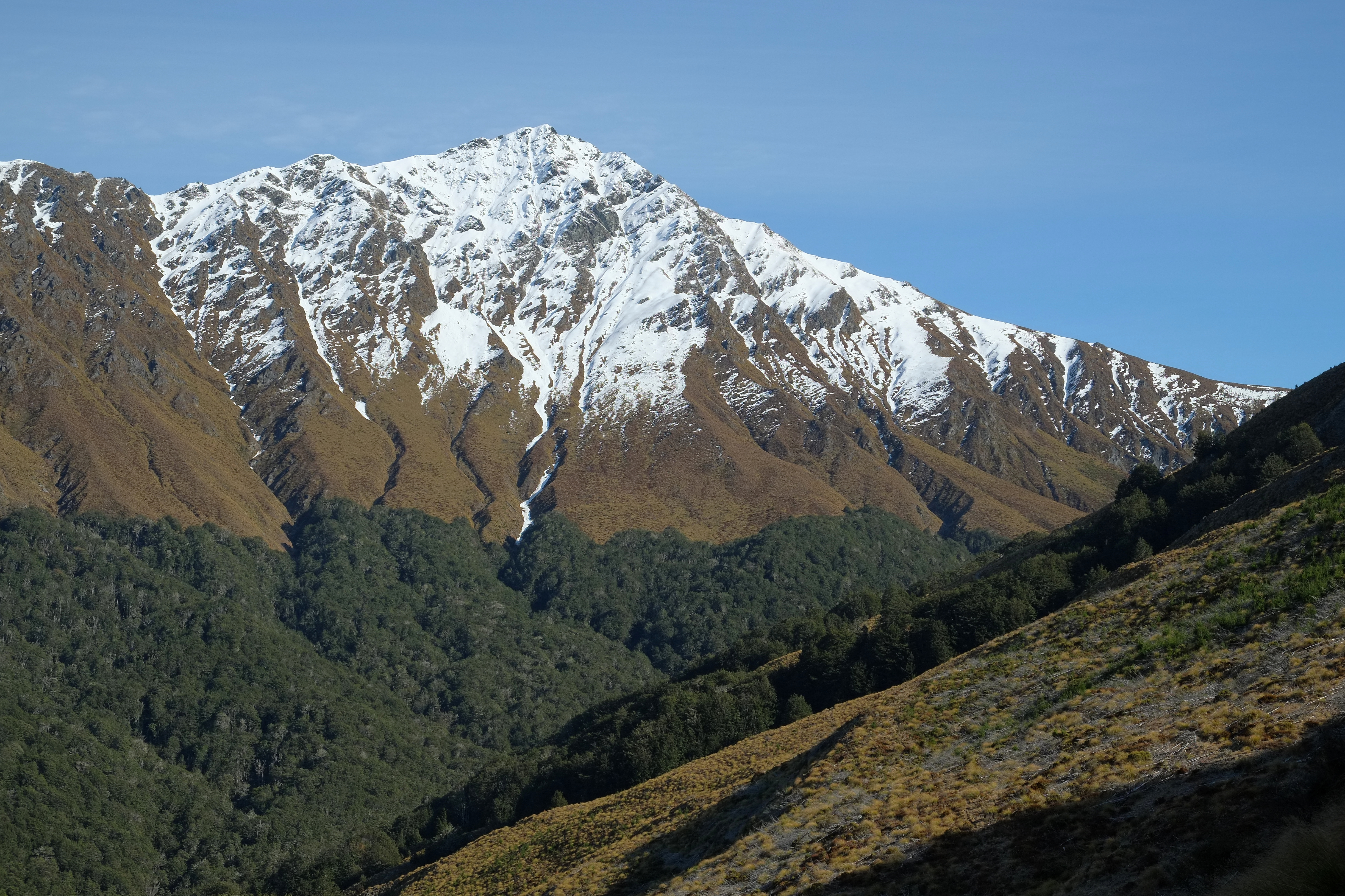 Snow-dusted Ben Lomond from near beginning of Ben Lomond track