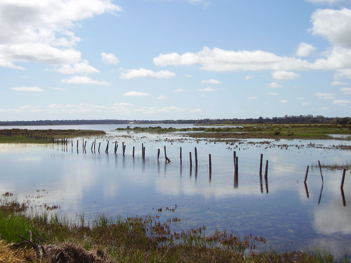 Busselton wetlands