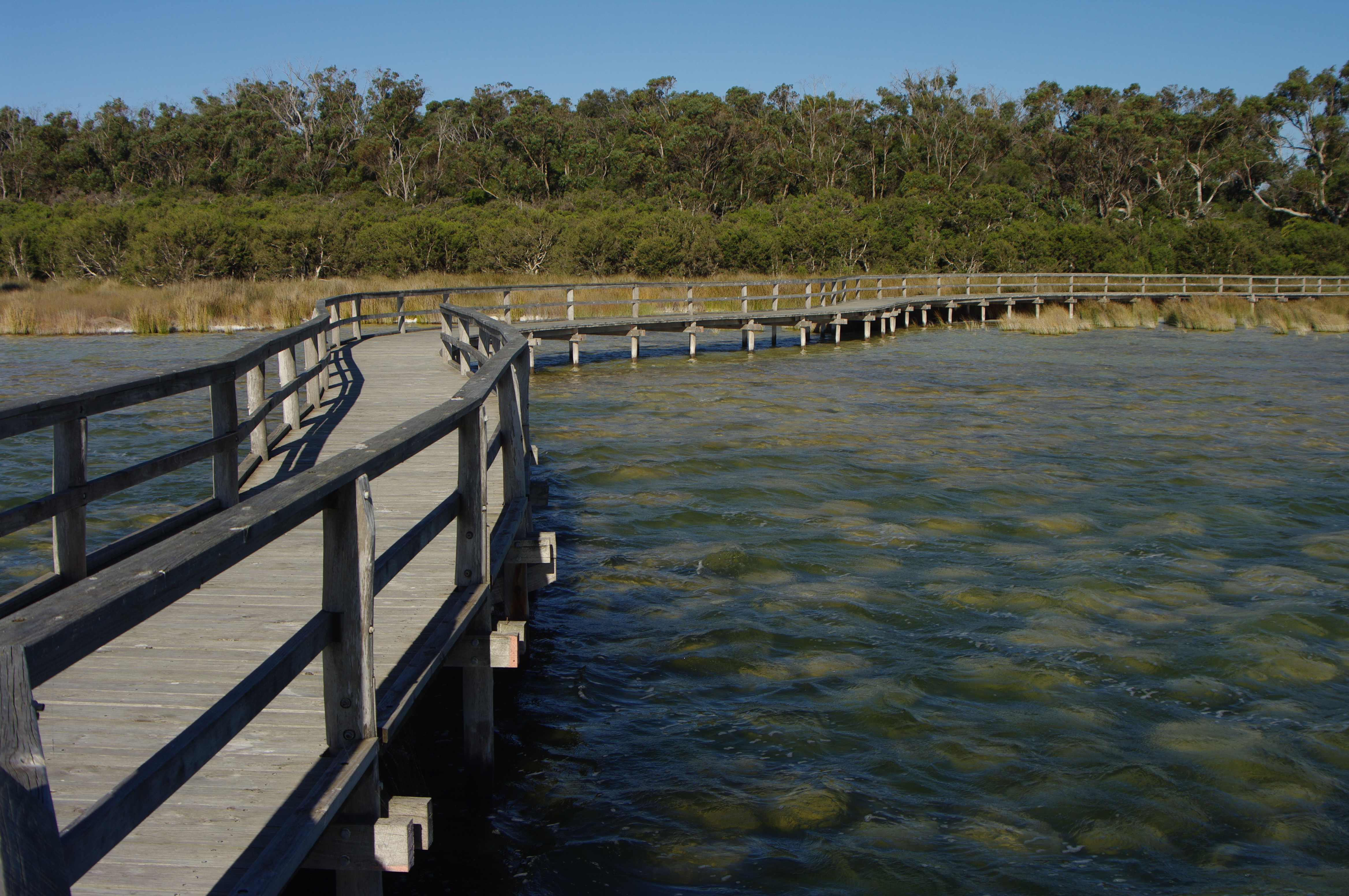 observation walkway to view the thrombolites in Lake Clifton, Western Australia